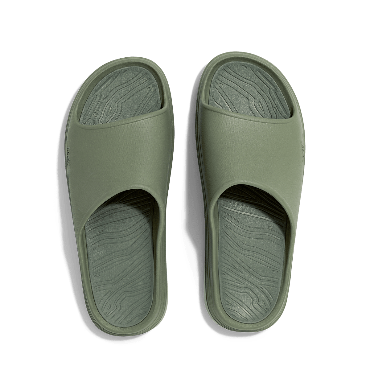 Norda 008 Sage