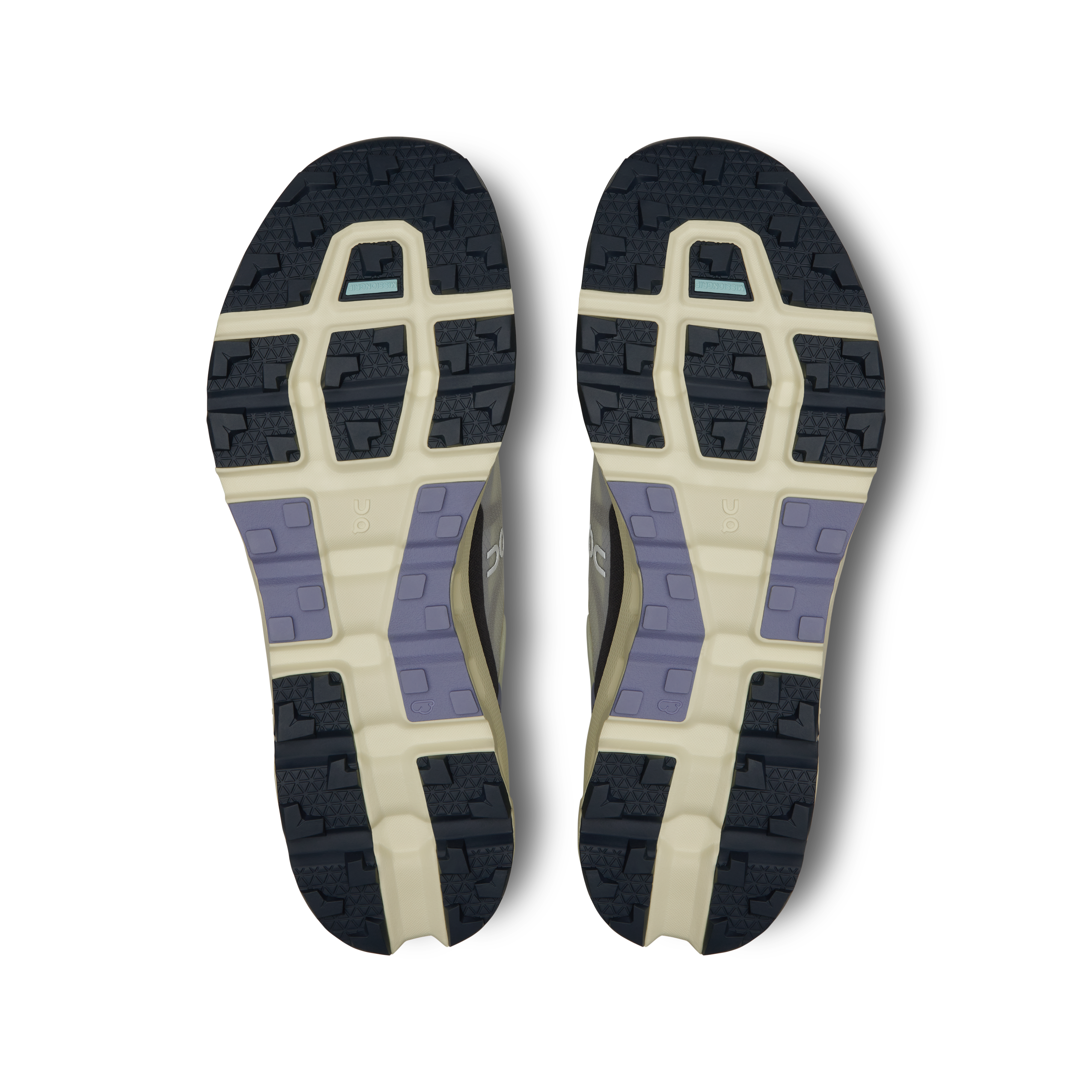 On Cloudvista 2 Seedling Mulberry