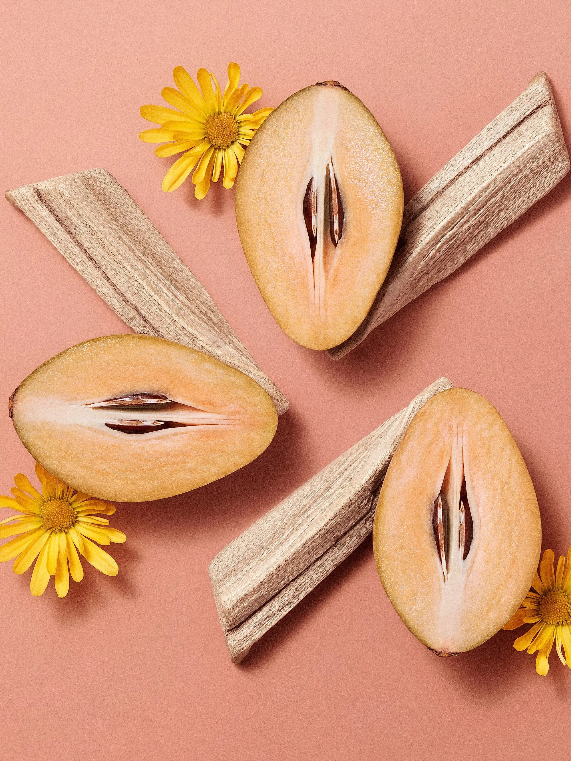 HERMÈS Hermèsistible Infused Lip Care Oil