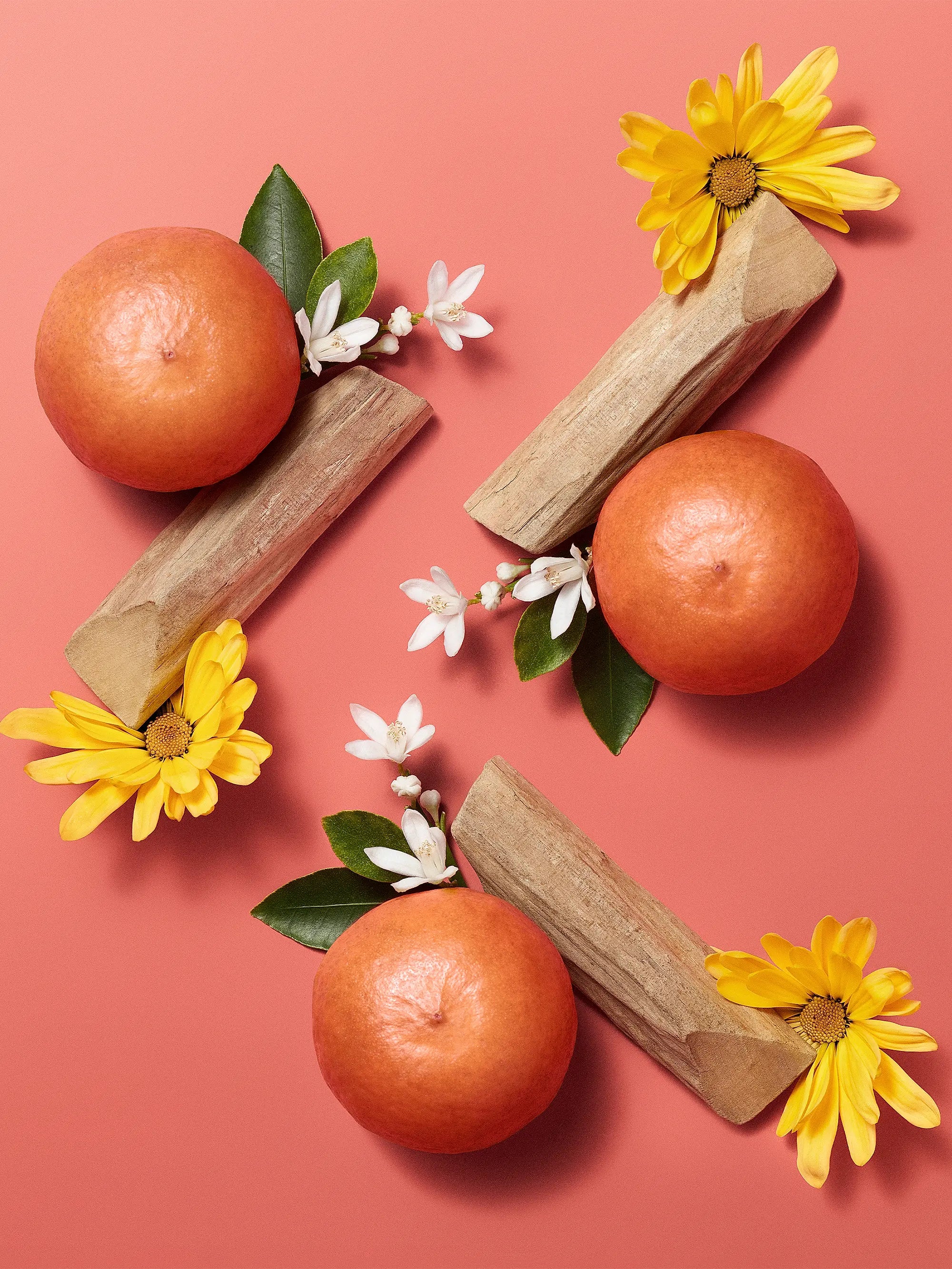 HERMÈS Hermèsistible Infused Lip Care Oil