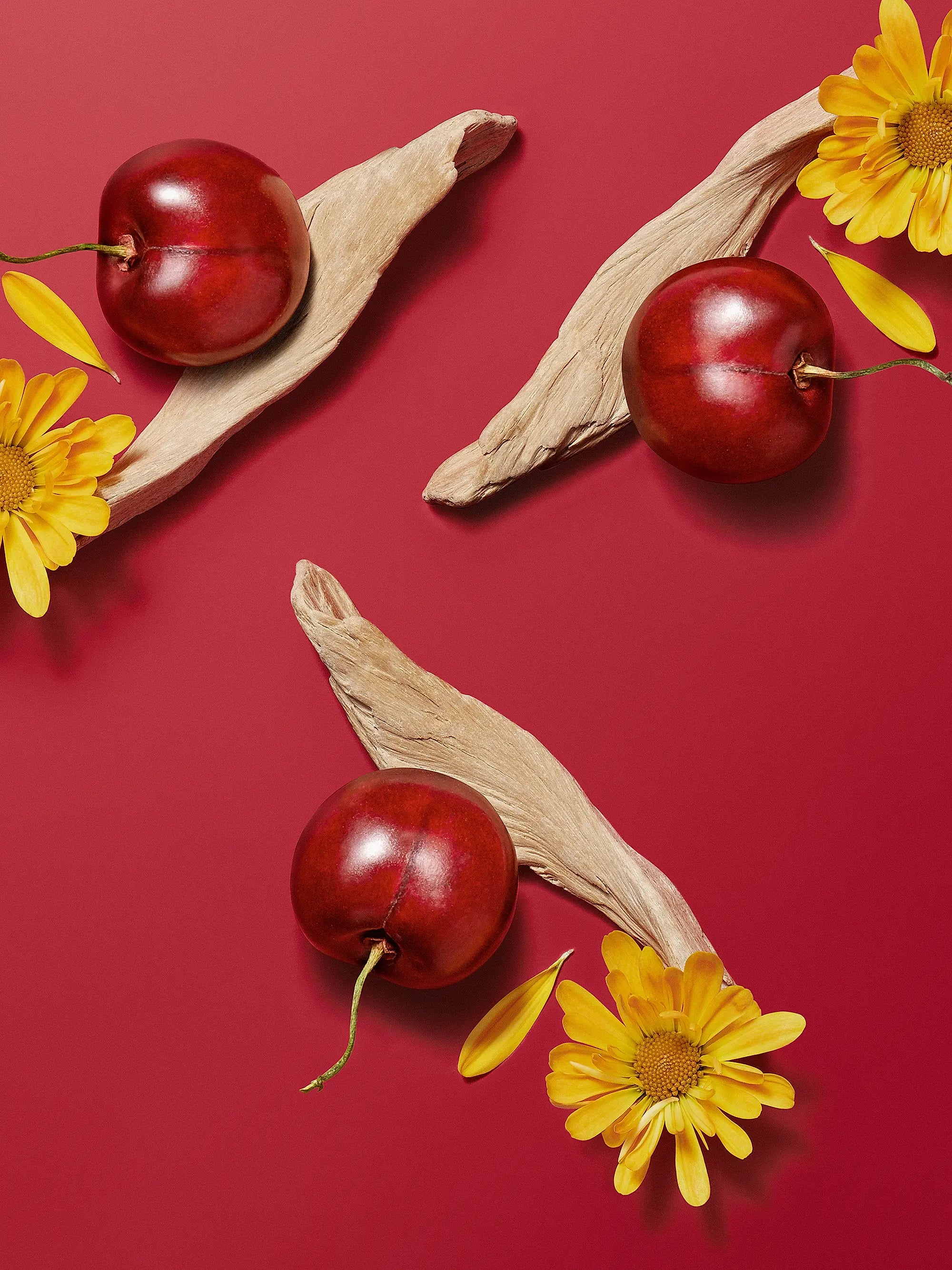 HERMÈS Hermèsistible Infused Lip Care Oil