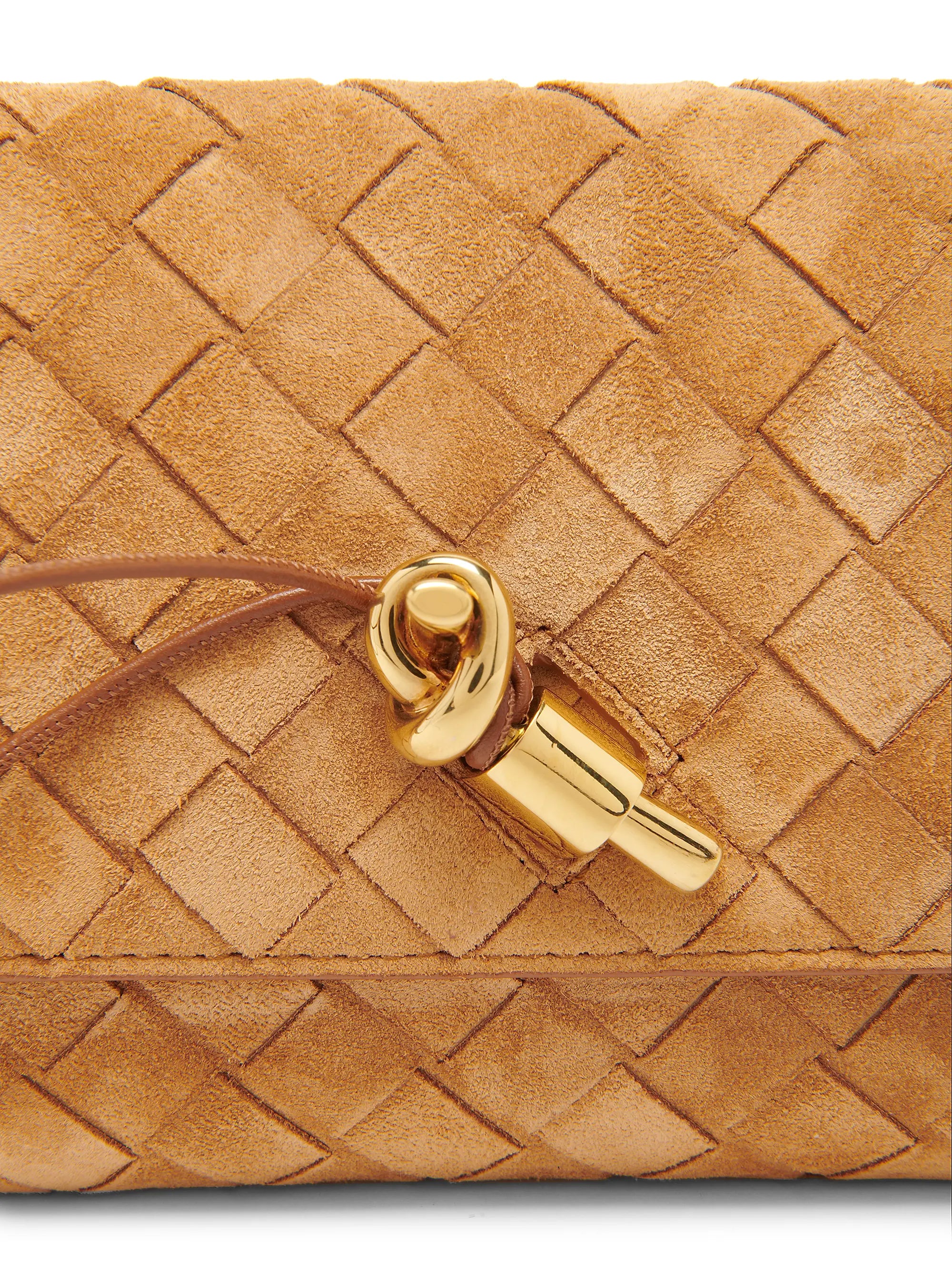 Bottega Veneta Andiamo Intrecciato Suede Pouch