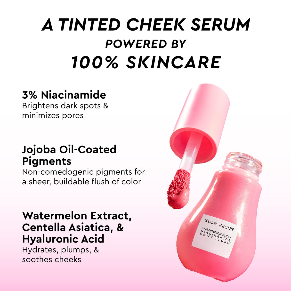 Glow Recipe Watermelon Glow Best-Sellers Kit