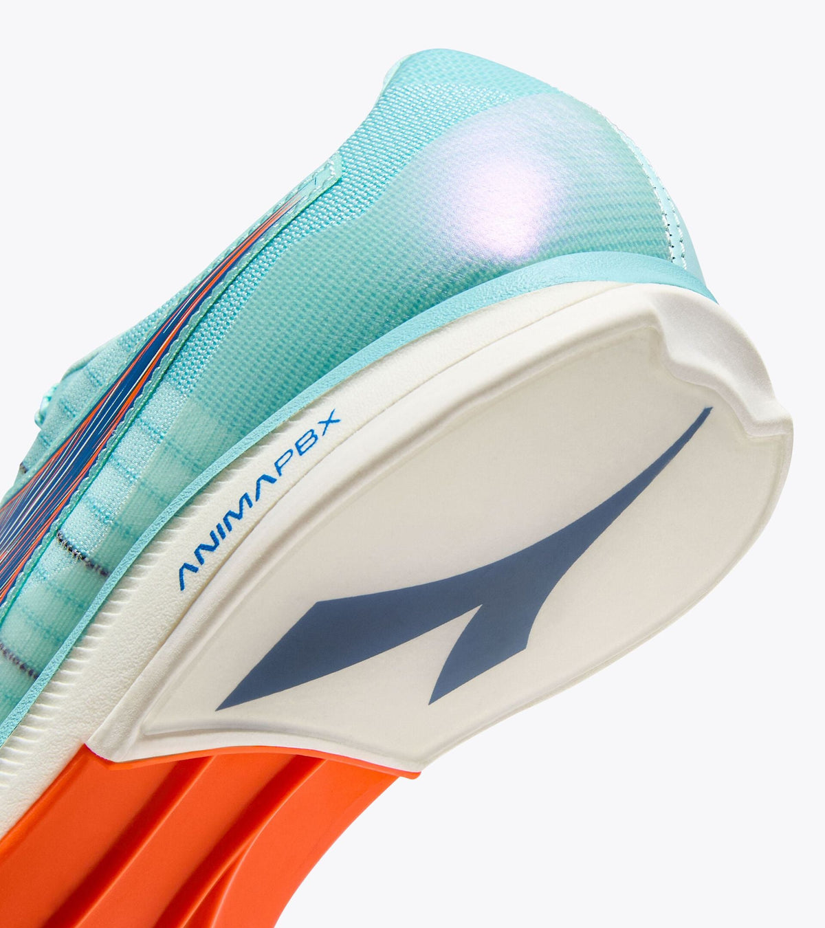 Diadora Lungo Carbon W Spa Retreat/Lapis Blue