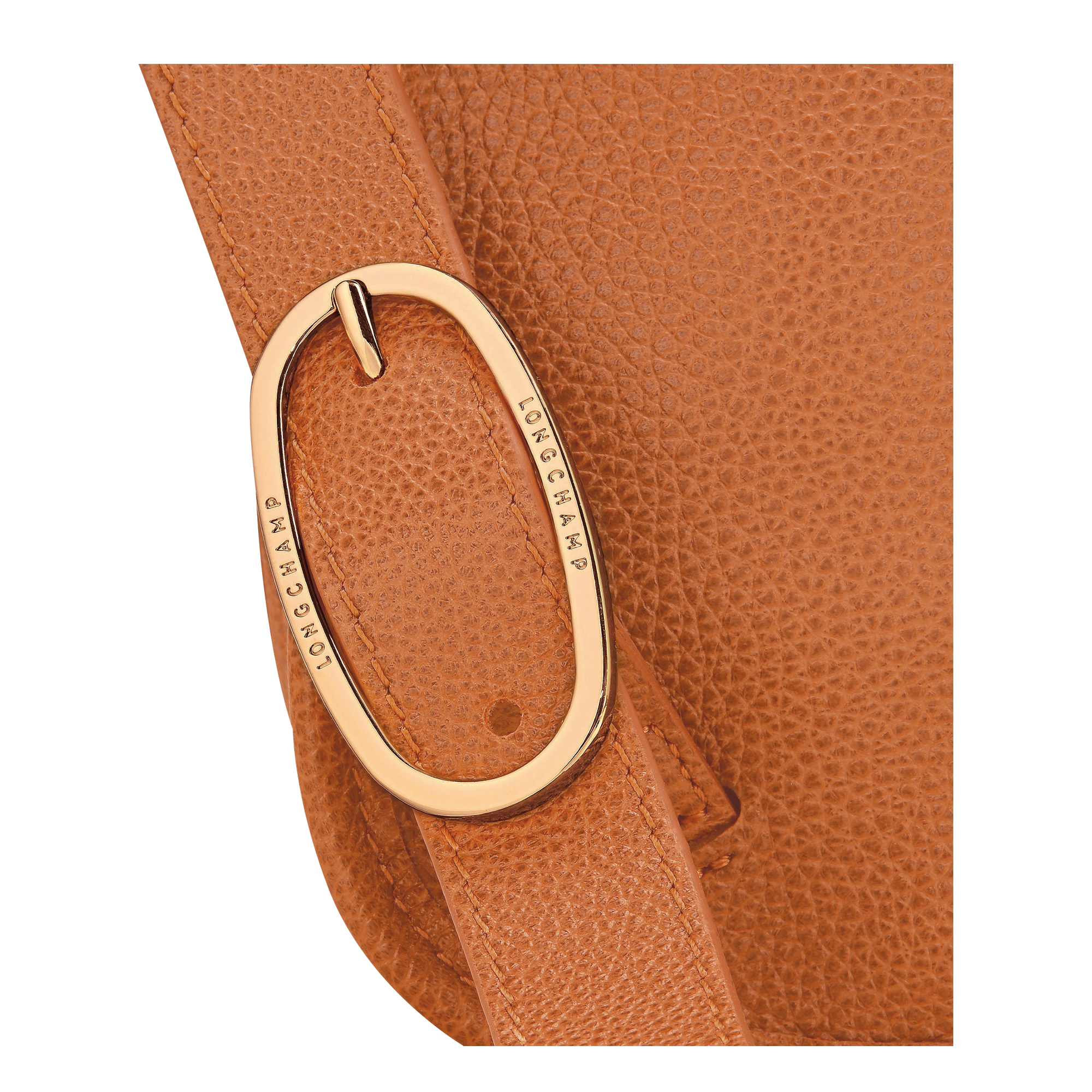 Longchamp Le Foulonné M Backpack Amber