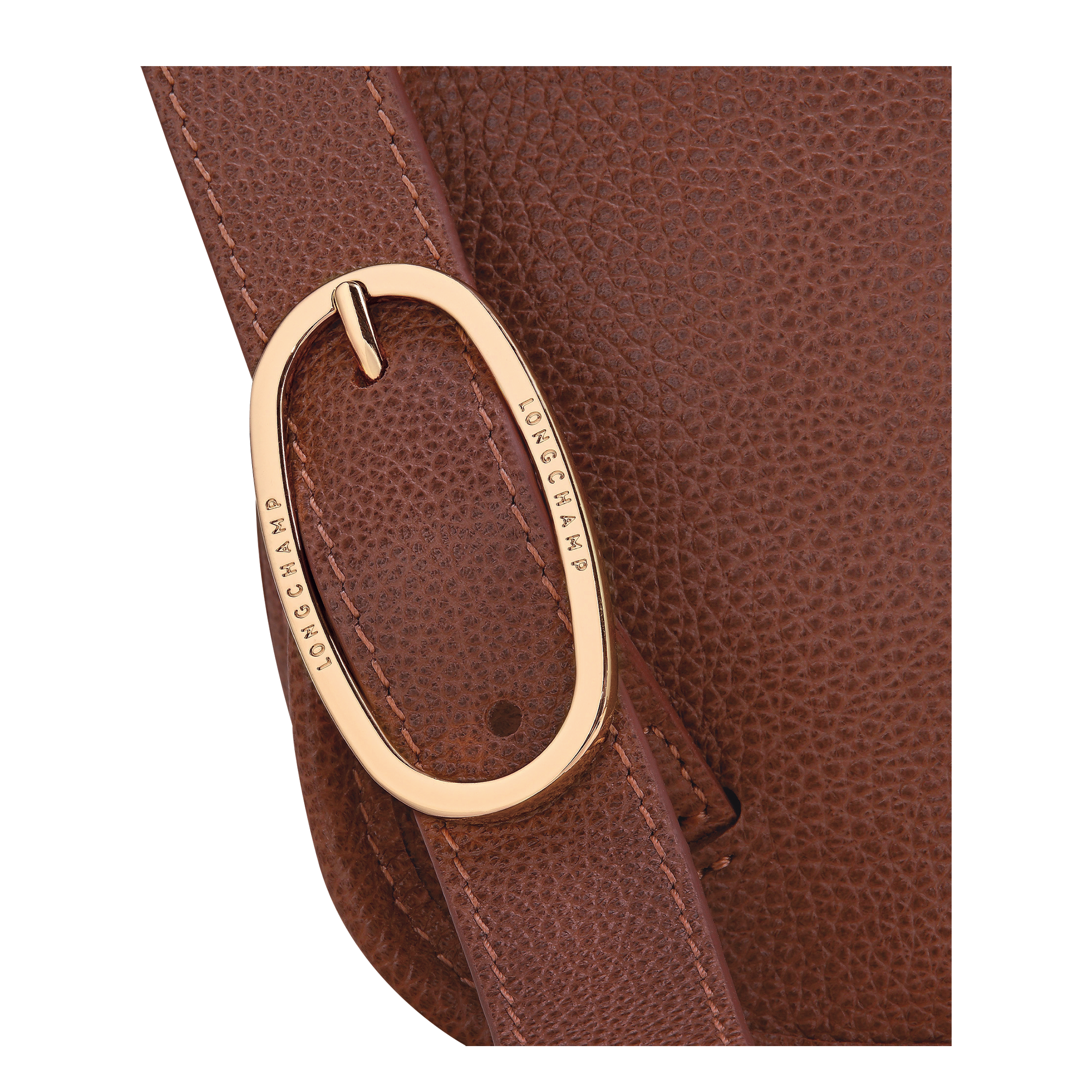 Longchamp Le Foulonné M Backpack Coffee