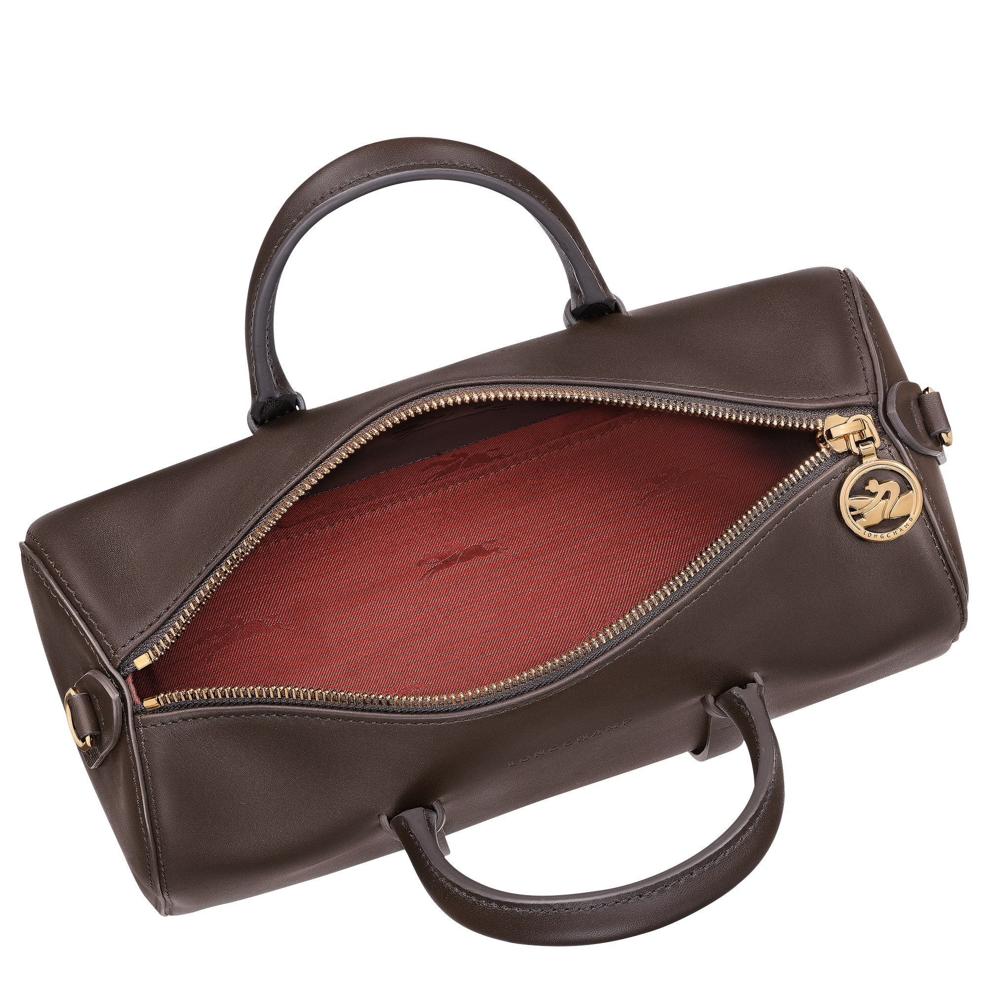Longchamp Daylong M Handbag Mocha