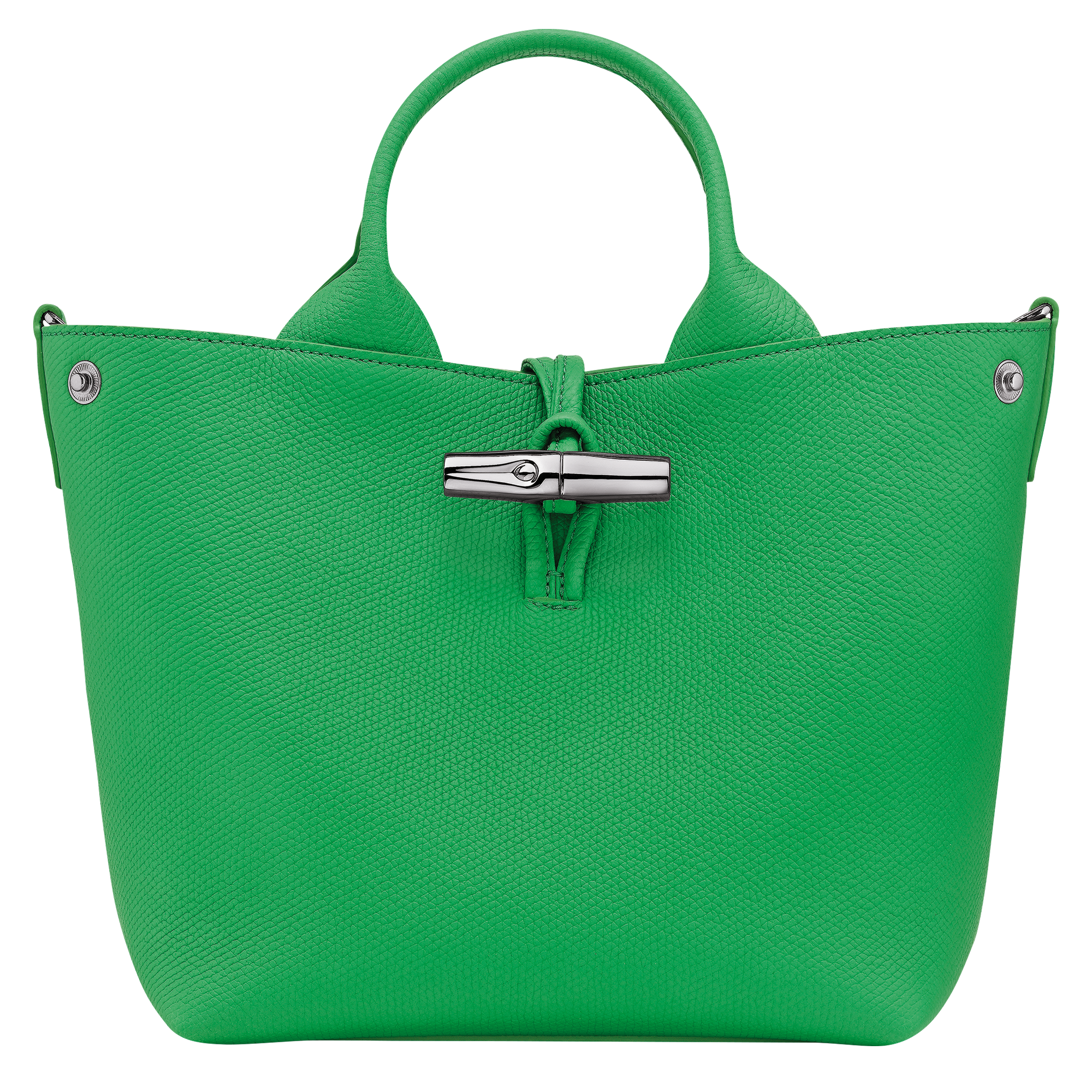 Longchamp Le Roseau S Handbag Spring Green
