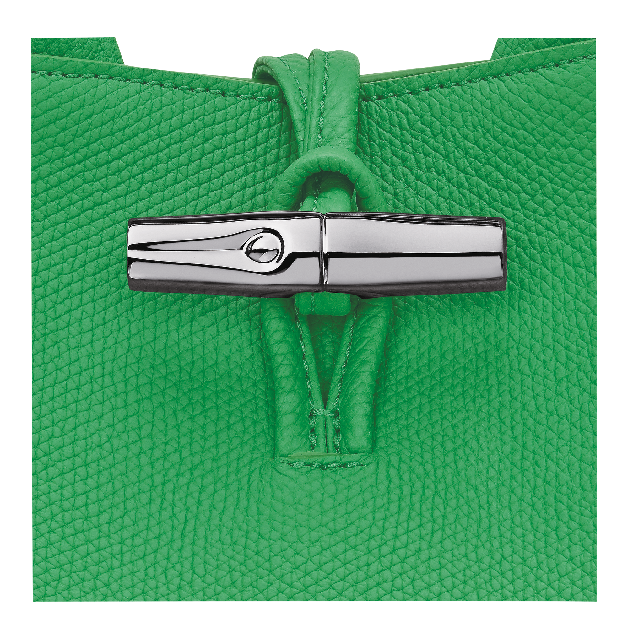 Longchamp Le Roseau S Handbag Spring Green