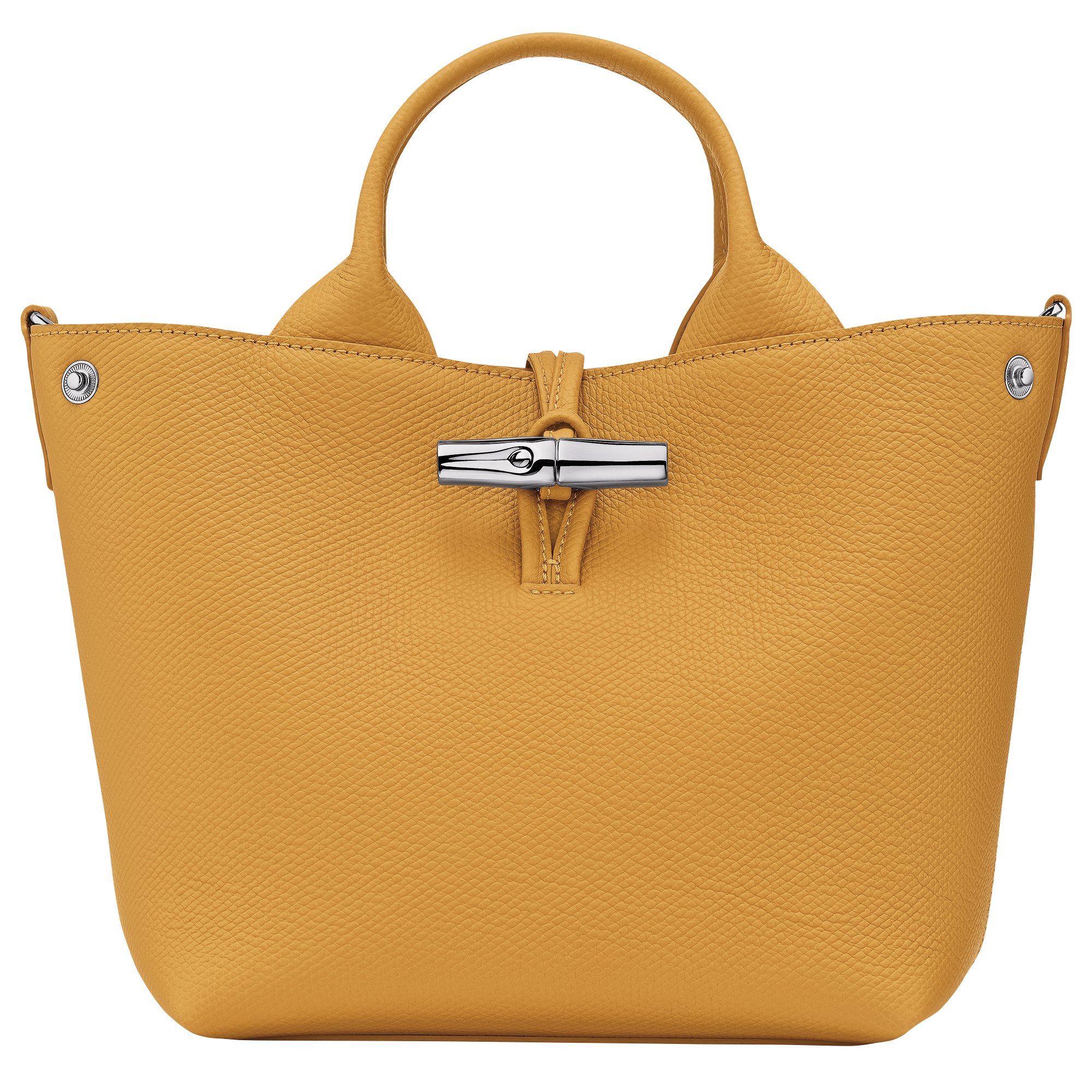 Longchamp Le Roseau S Handbag Nutmeg