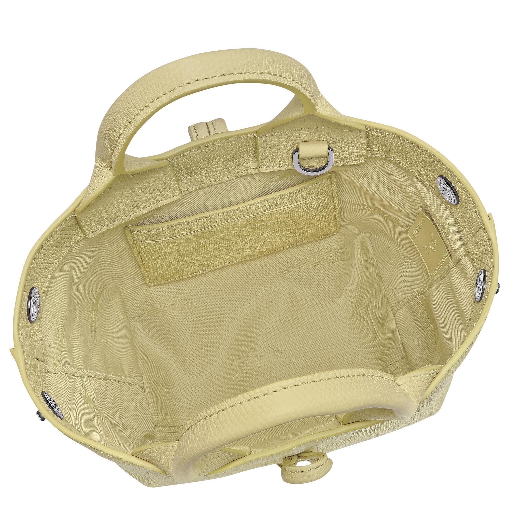 Longchamp Le Roseau XS Handbag Pistachio