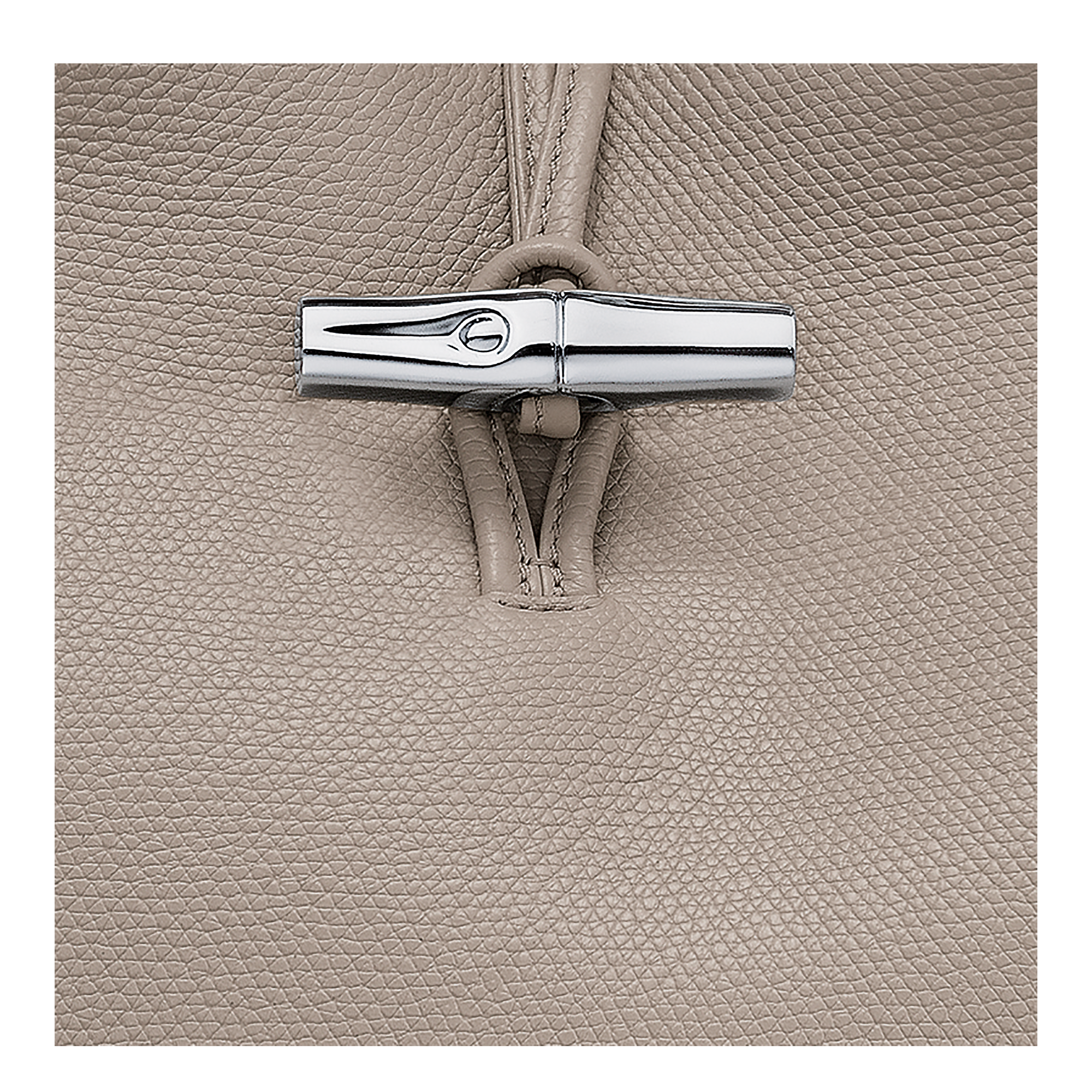 Longchamp Le Roseau L Handbag Clay