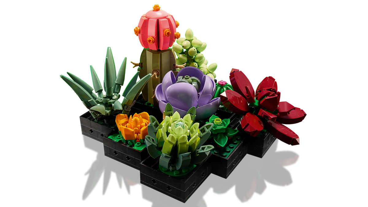LEGO Succulents, sole