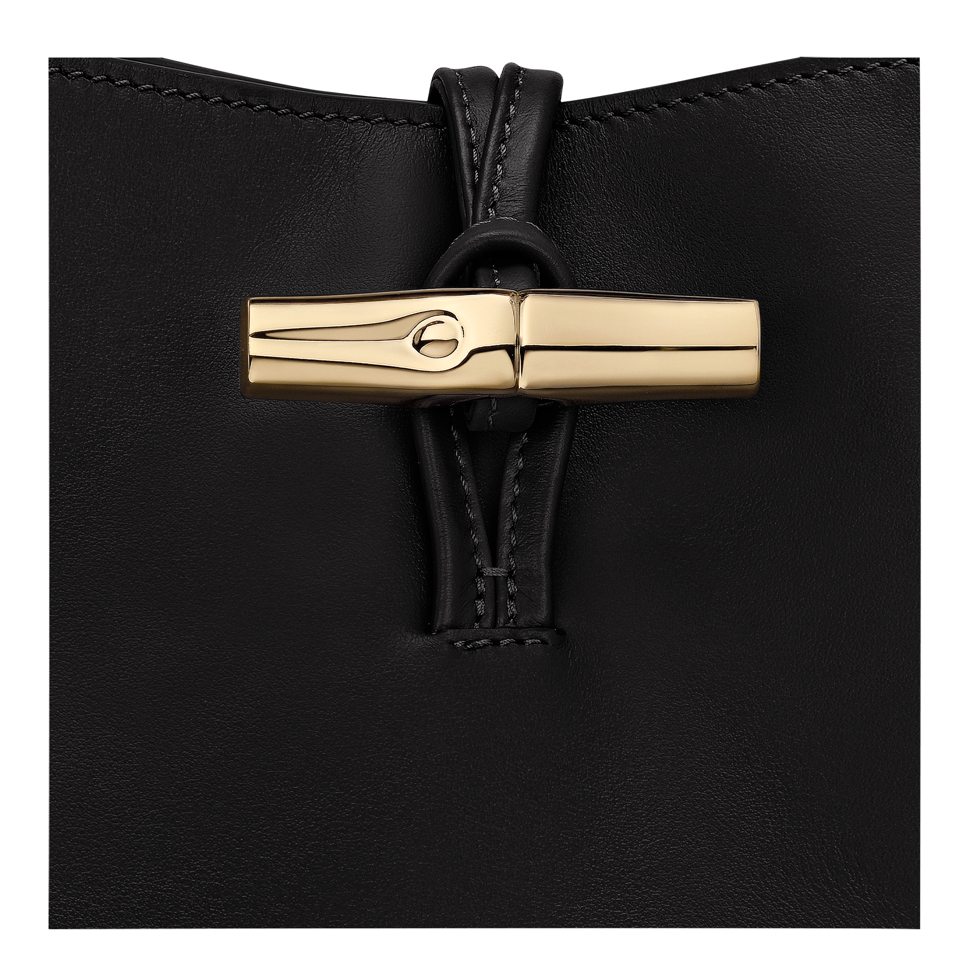 Longchamp Le Roseau M Hobo bag Black
