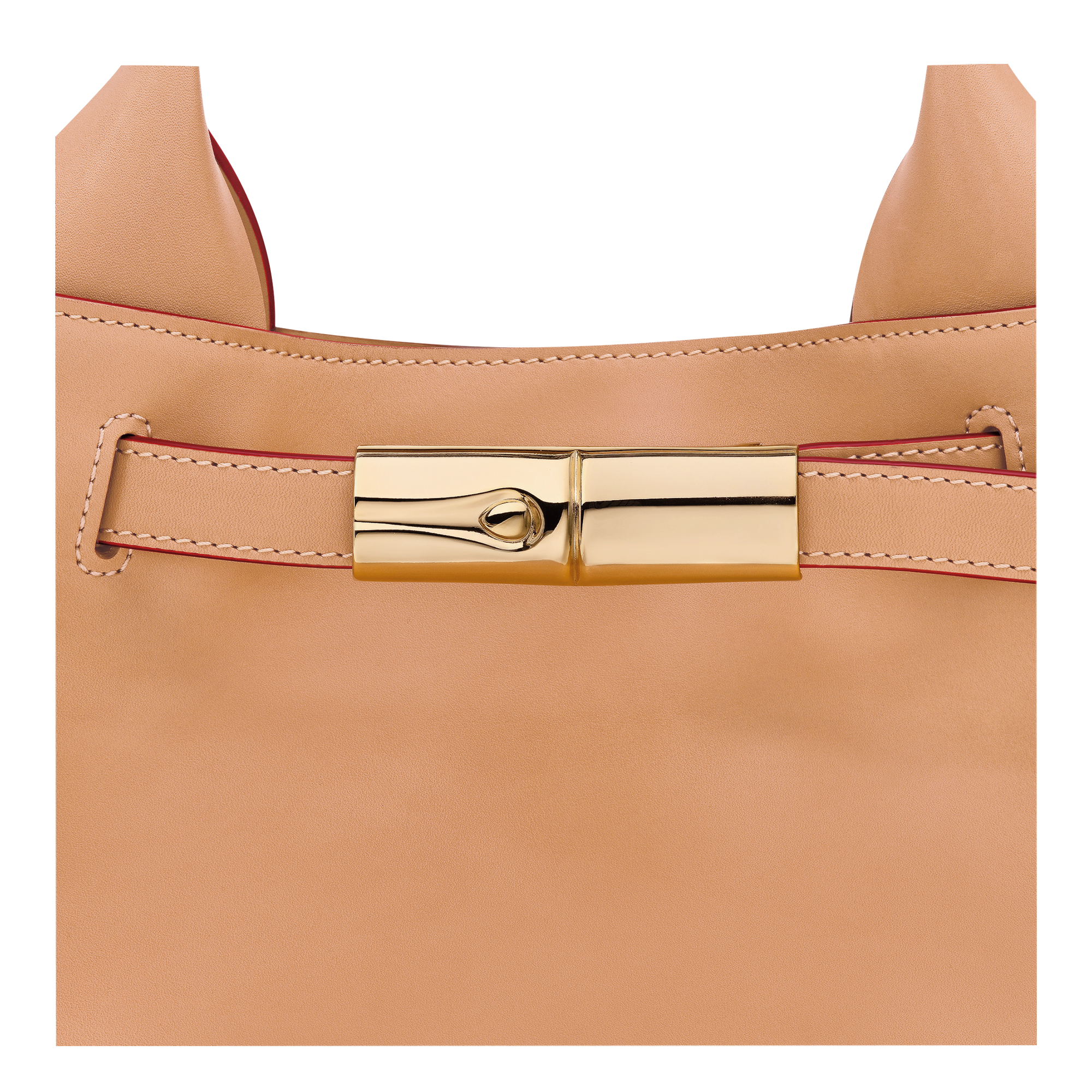 Longchamp Le Smart Handbag Vegetal