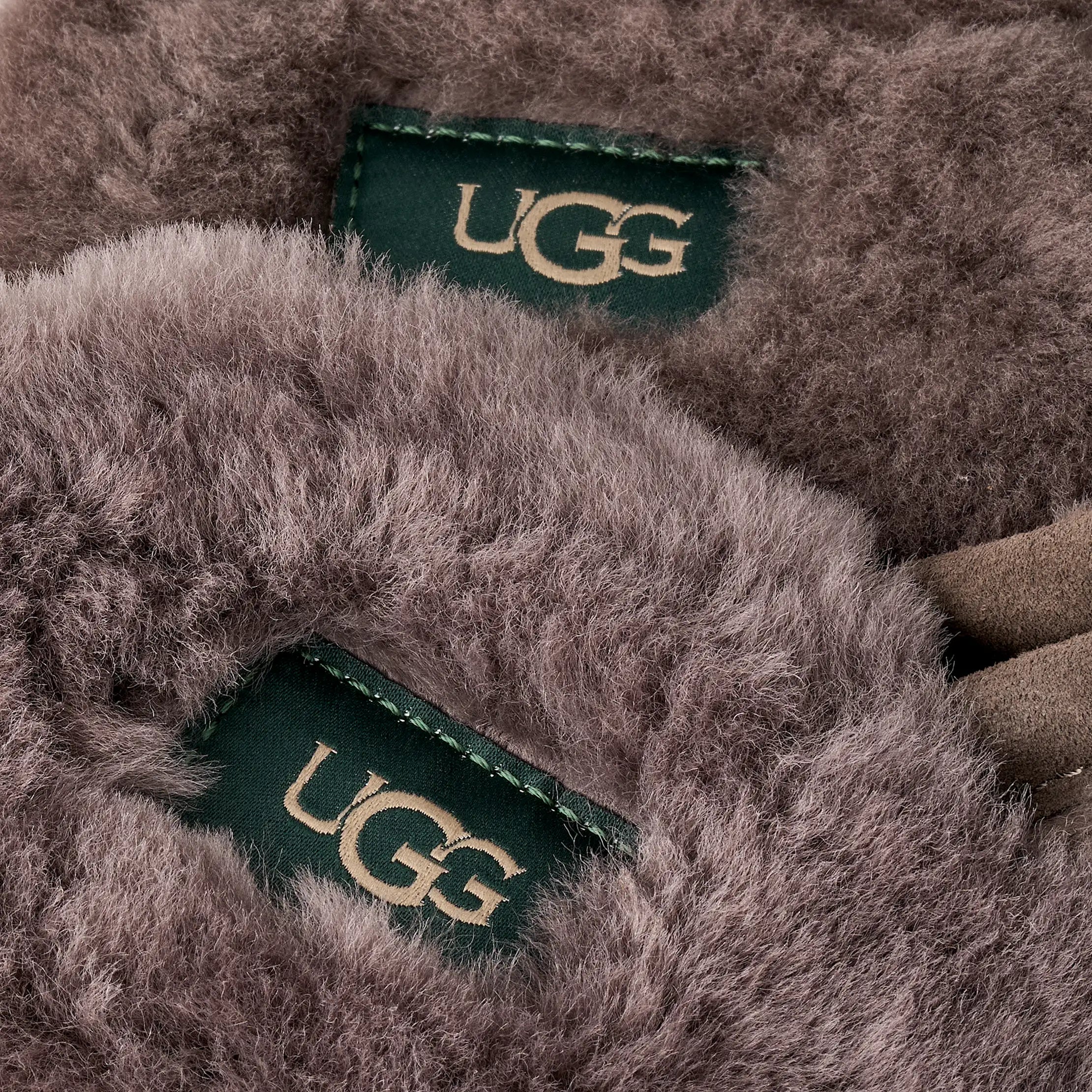 Ugg Scuff Mustard Seed / Molasses