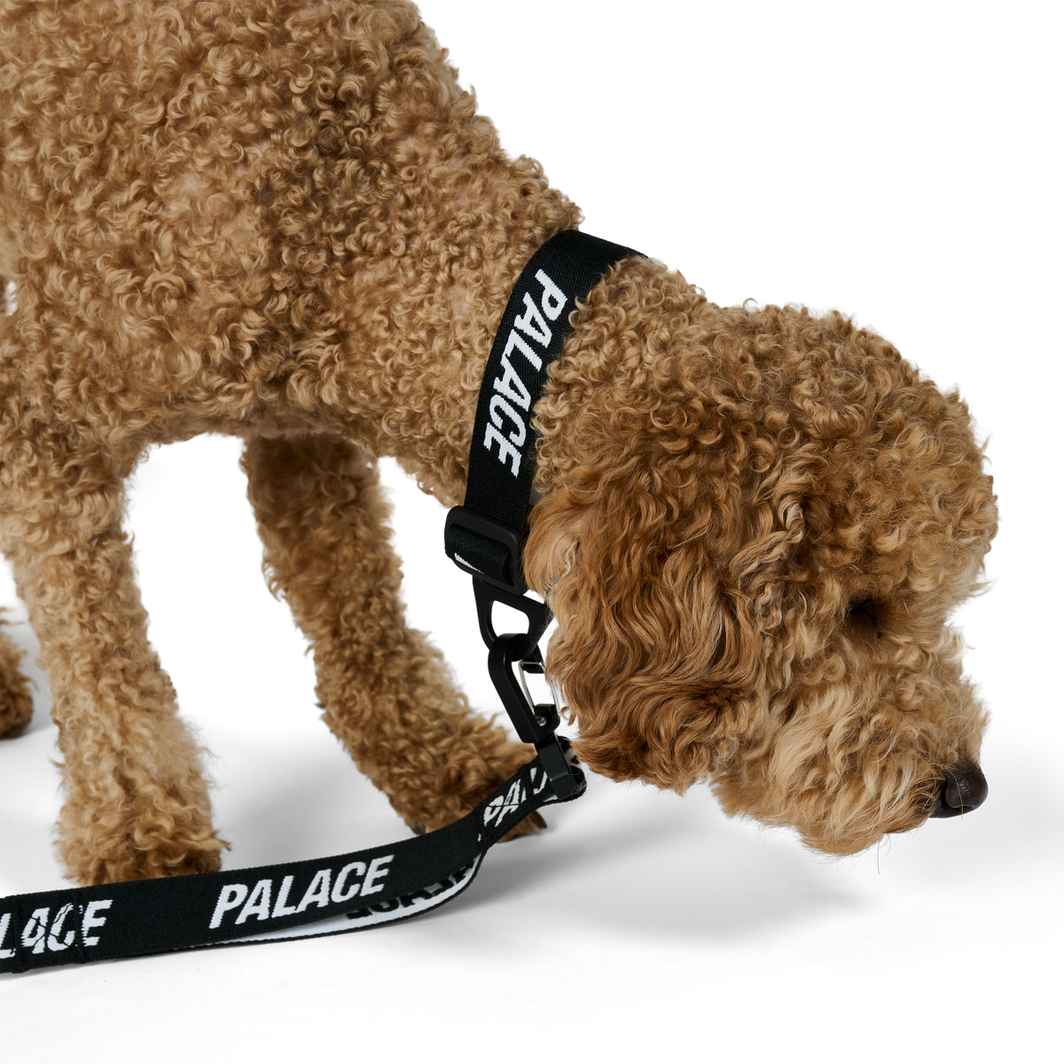 Palace Skateboards Jacquarded DOG Collar and LEAD Black