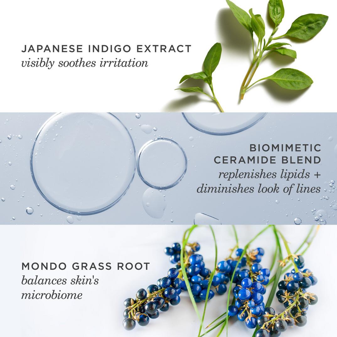 Tatcha Indigo Overnight Repair Redness Reducing Barrier Cream, detail