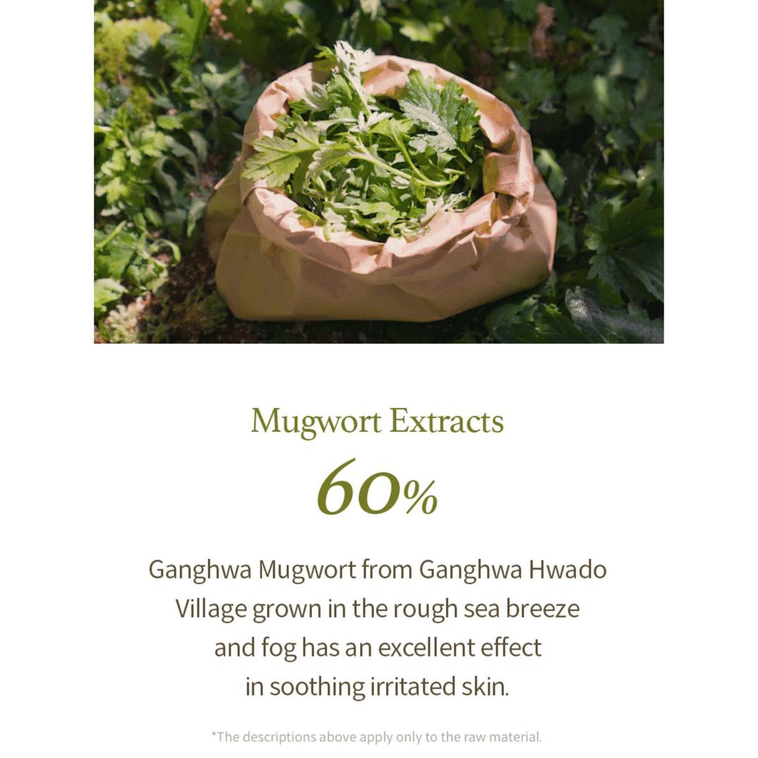 I'm From Mugwort Gel Cleanser