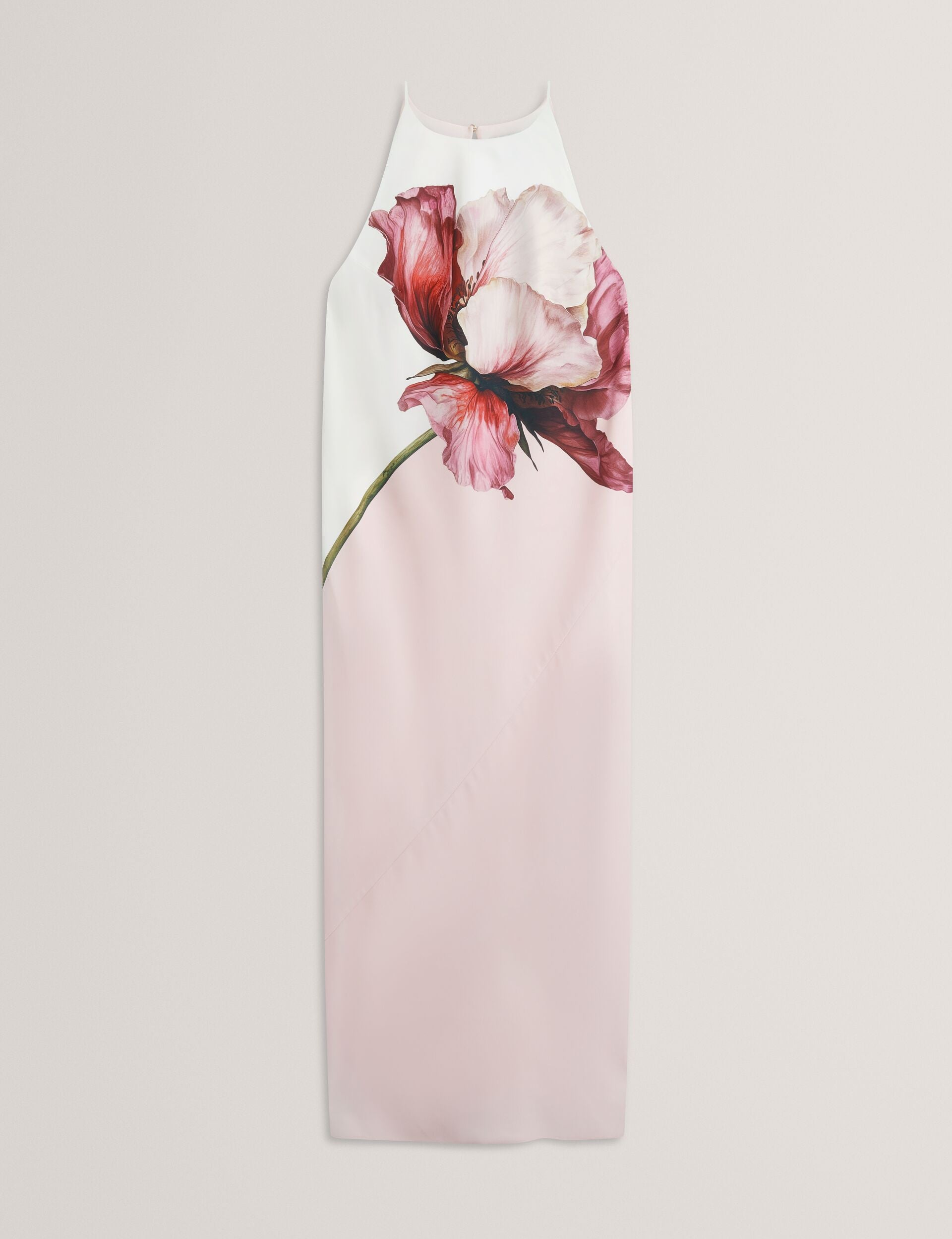 Ted Baker Lowela Bold Floral Print Halterneck Midi Dress Women's
