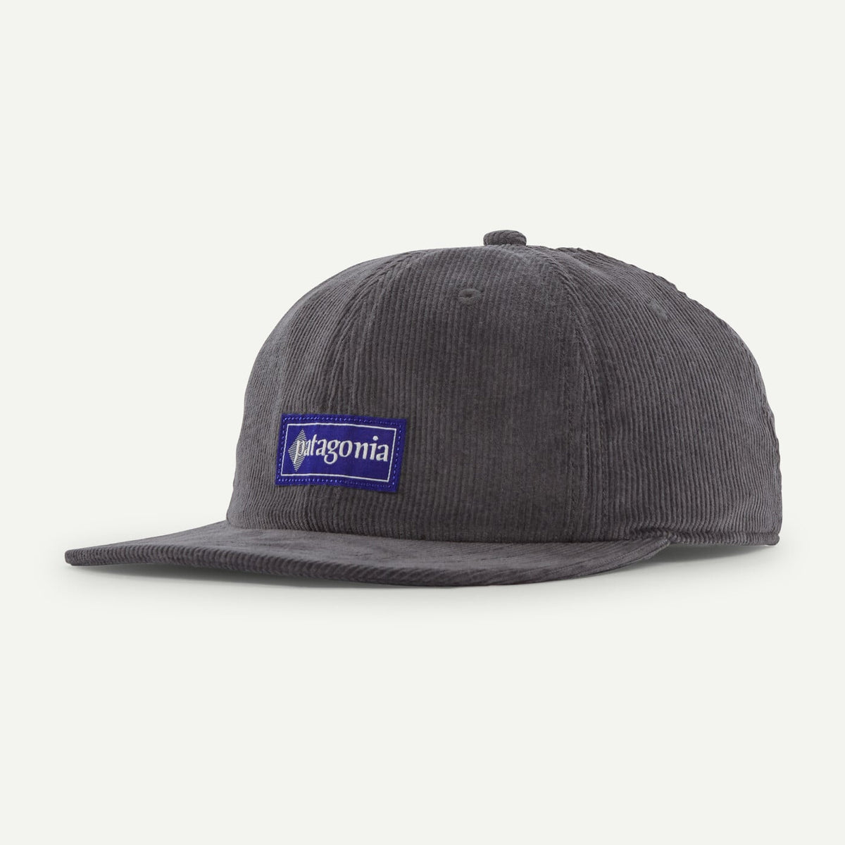 Patagonia Corduroy Cap