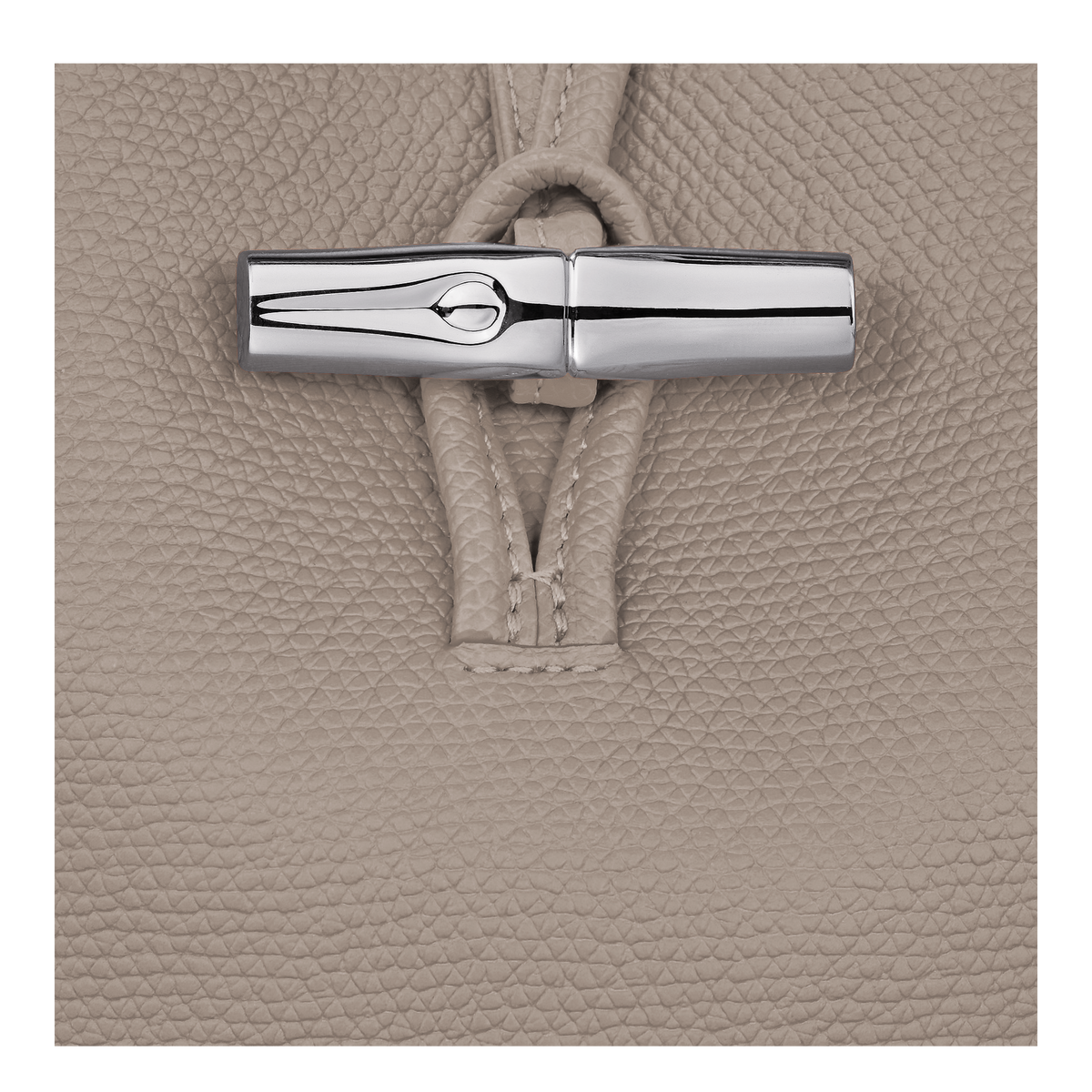 Longchamp Le Roseau Phone case Clay