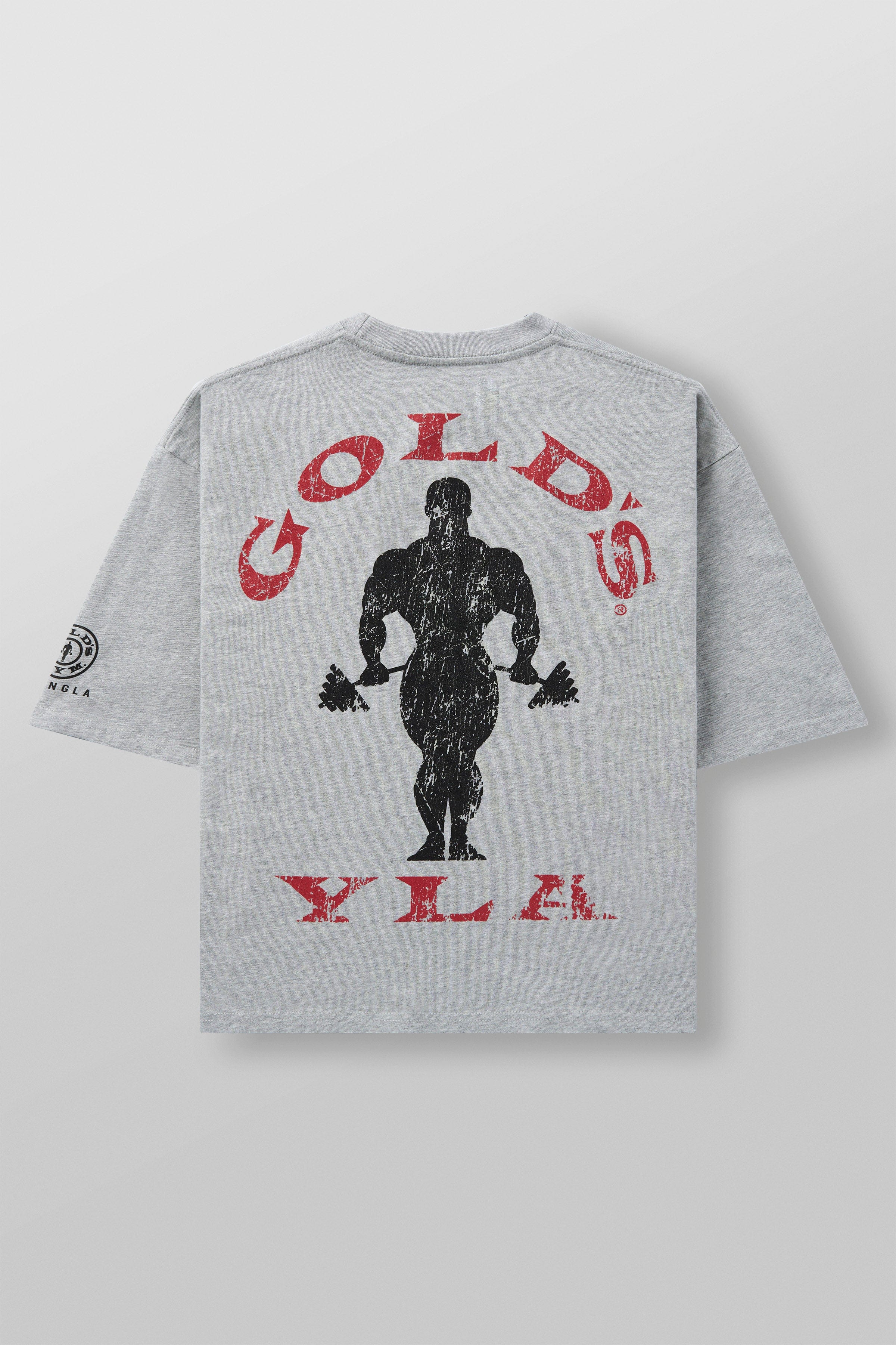 Youngla 4002 Golds Gym New Age Tees Heather Grey