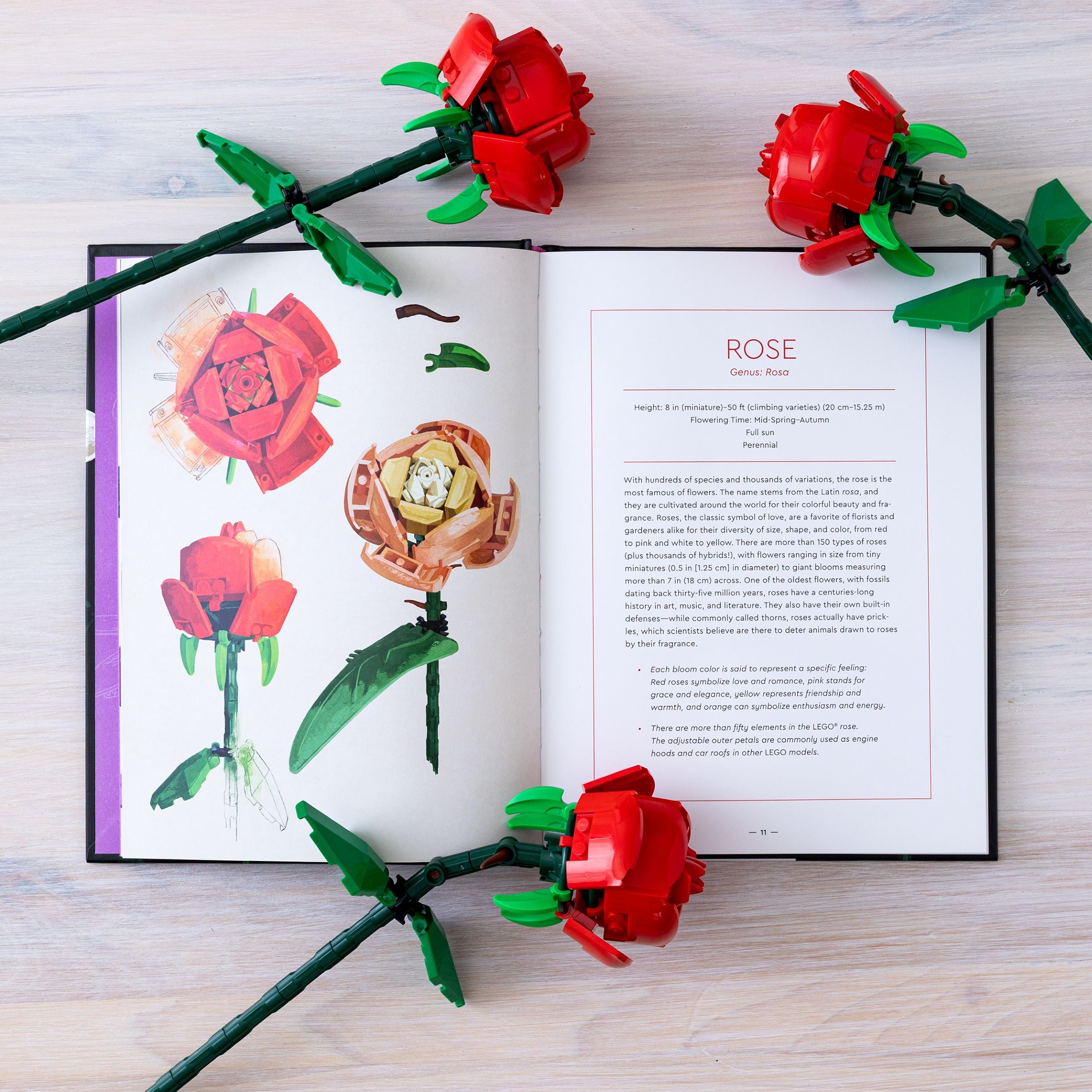 Lego Botanical Almanac Book