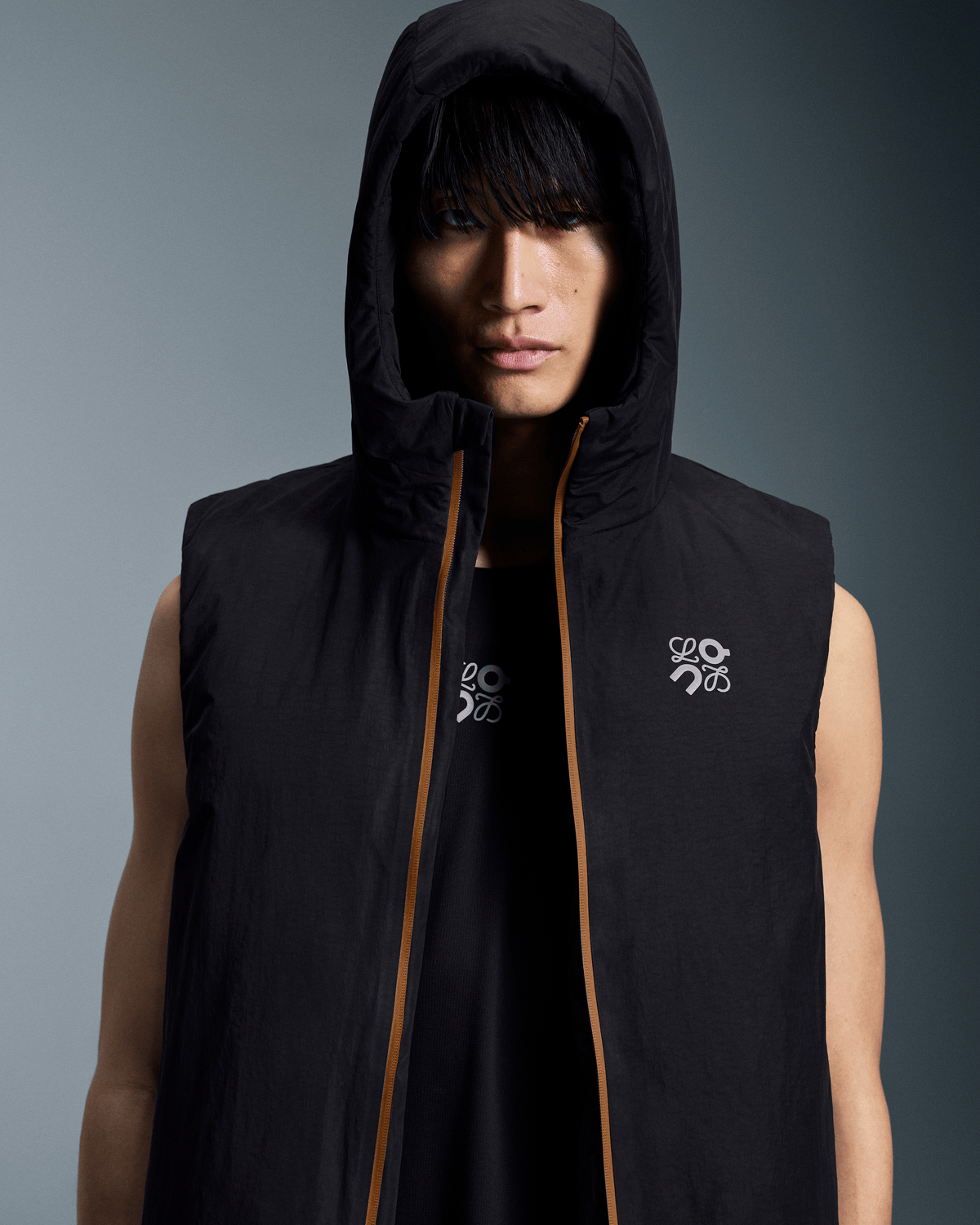 On Puffer Vest Loewe Black