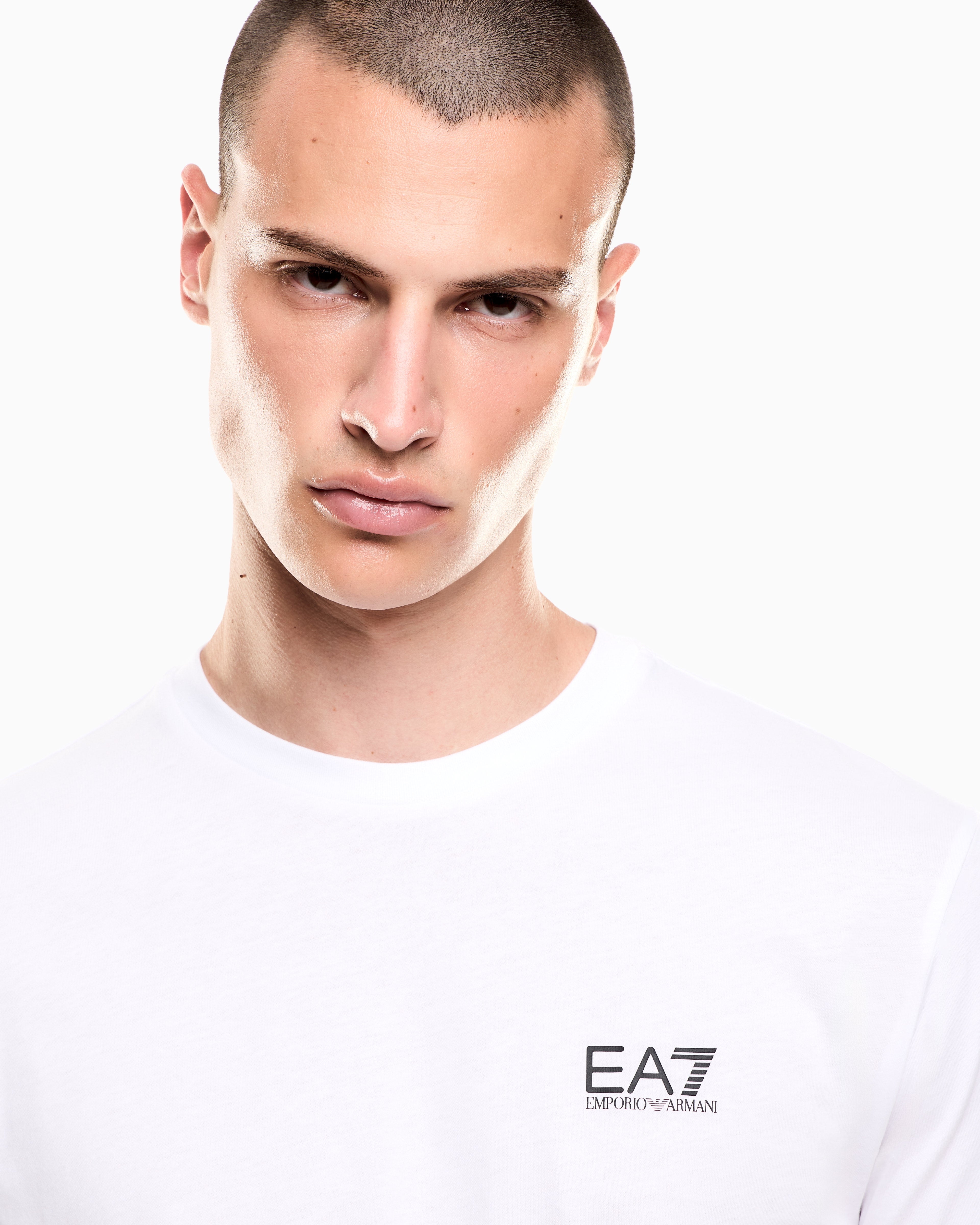 EA7 Logo t-shirt in cotton jersey with back print Logo Series
