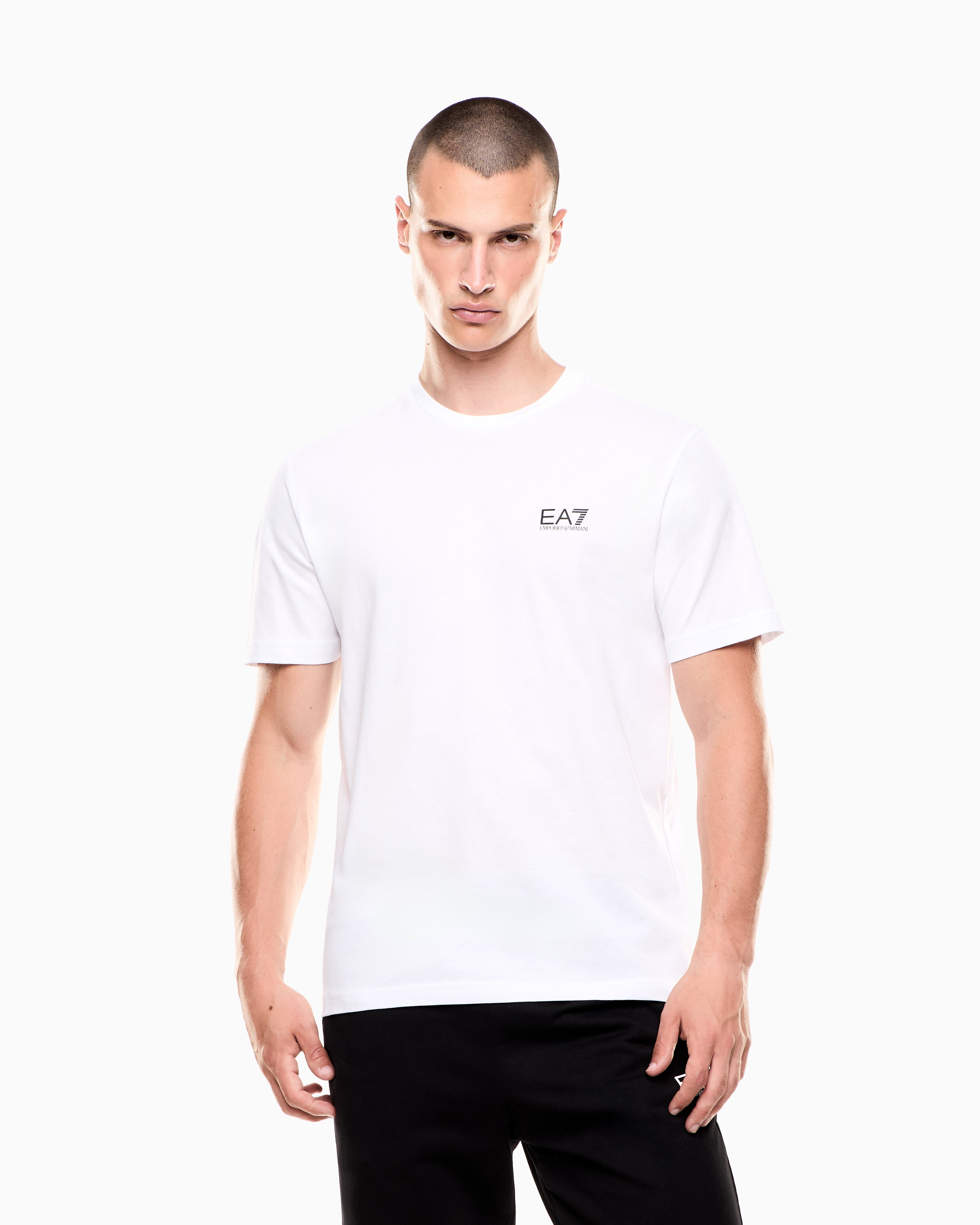 EA7 Logo t-shirt in cotton jersey with back print Logo Series