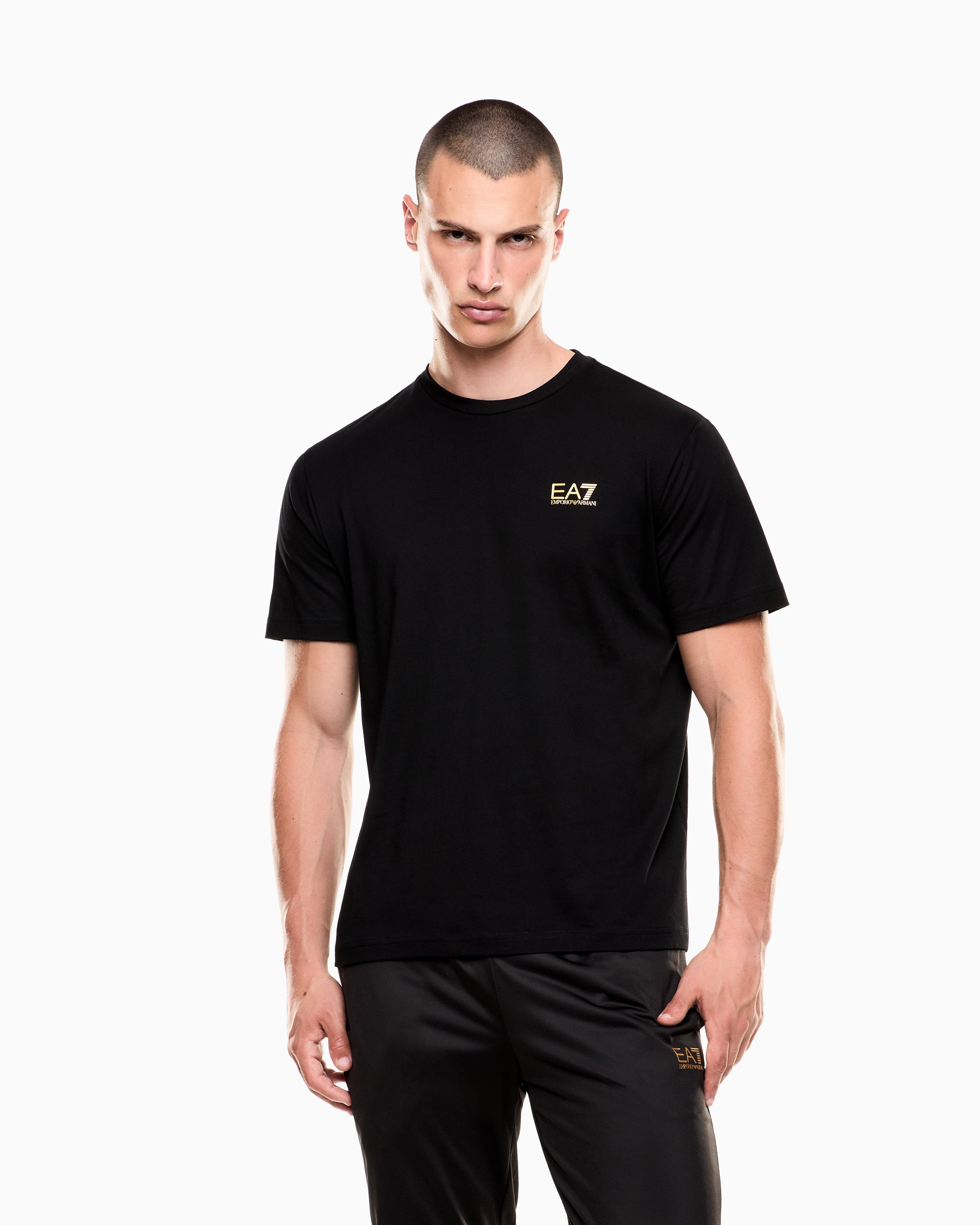EA7 Logo t-shirt in cotton jersey with back print Logo Series