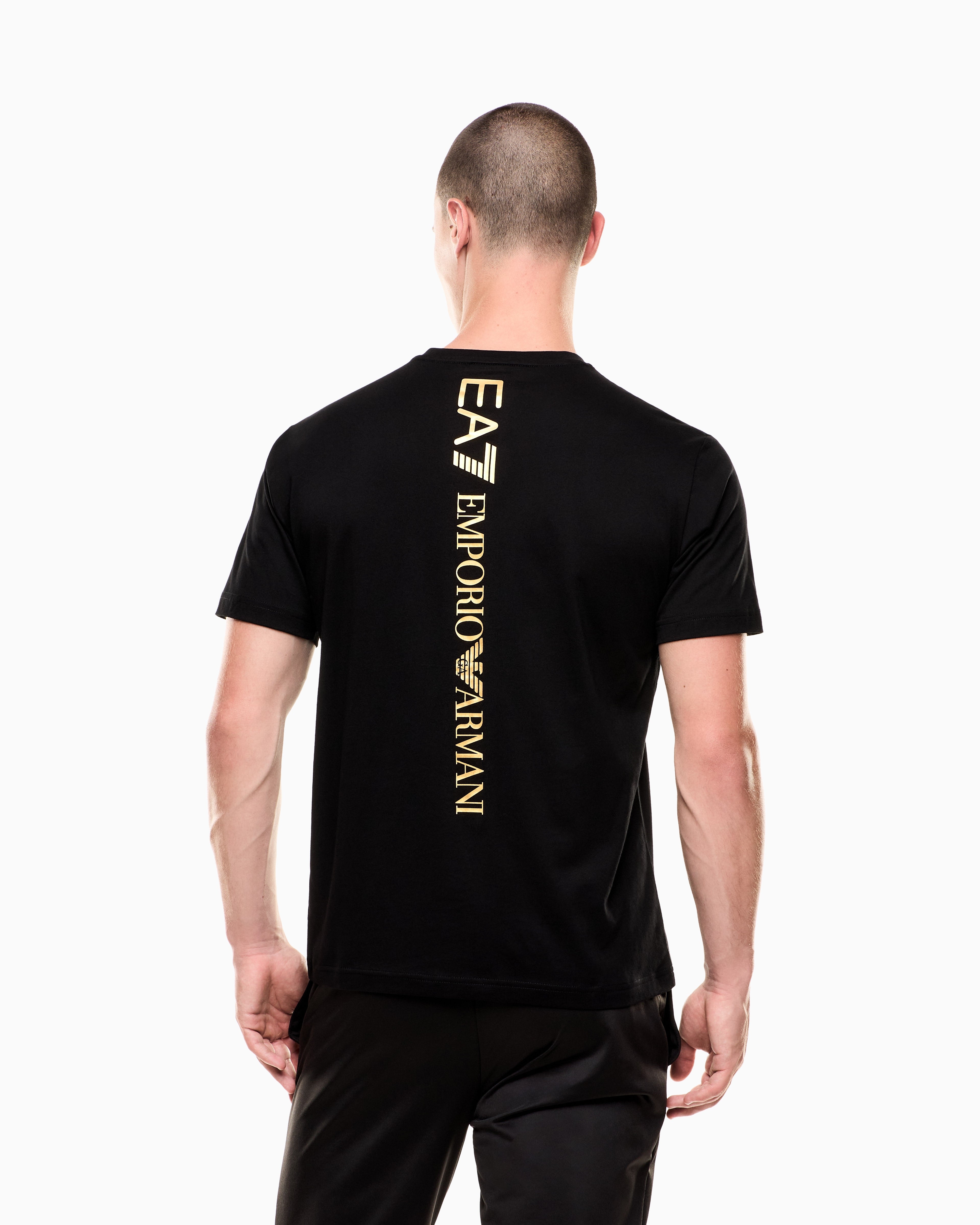 EA7 Logo t-shirt in cotton jersey with back print Logo Series