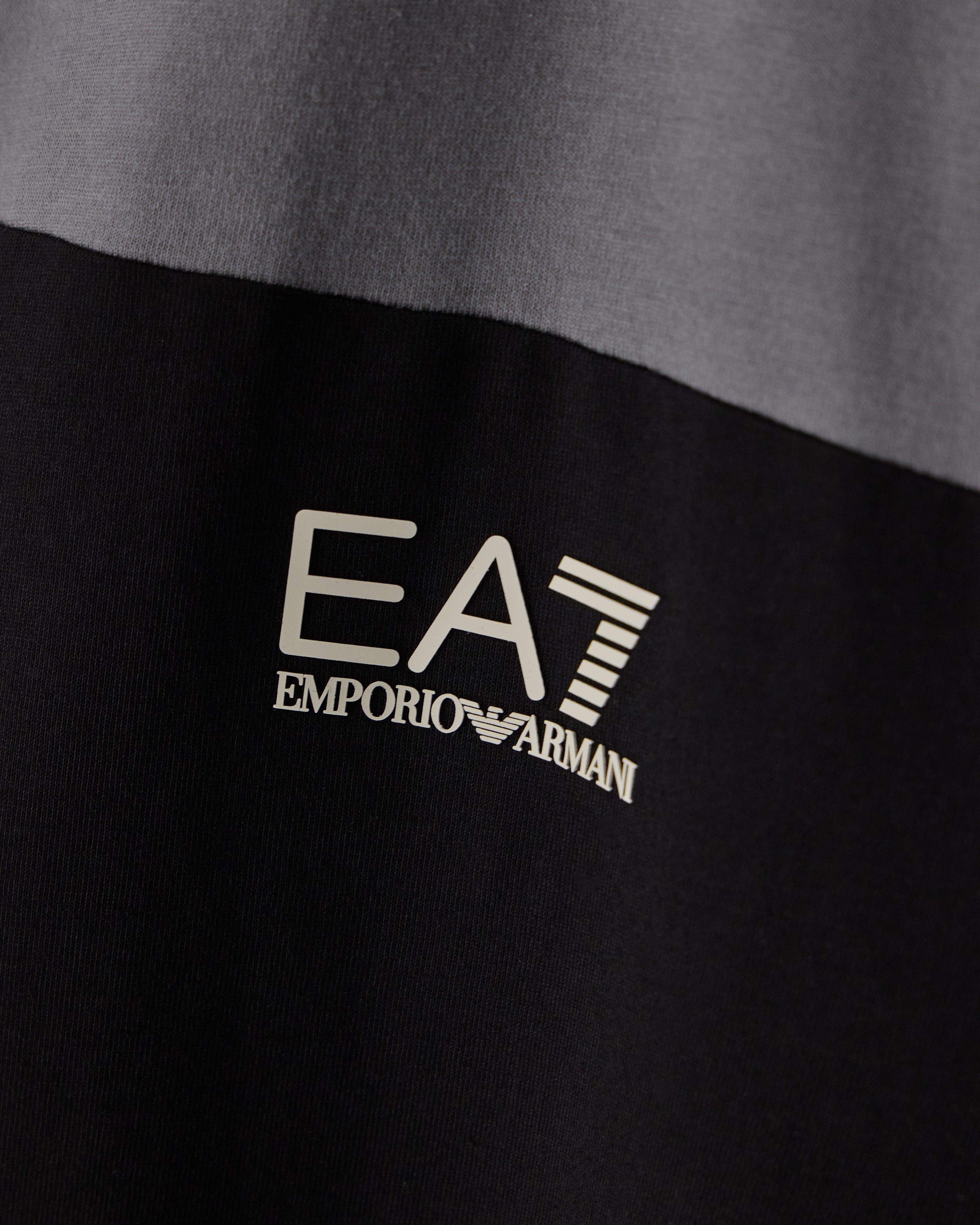 EA7 Regular fit t-shirt in cotton jersey