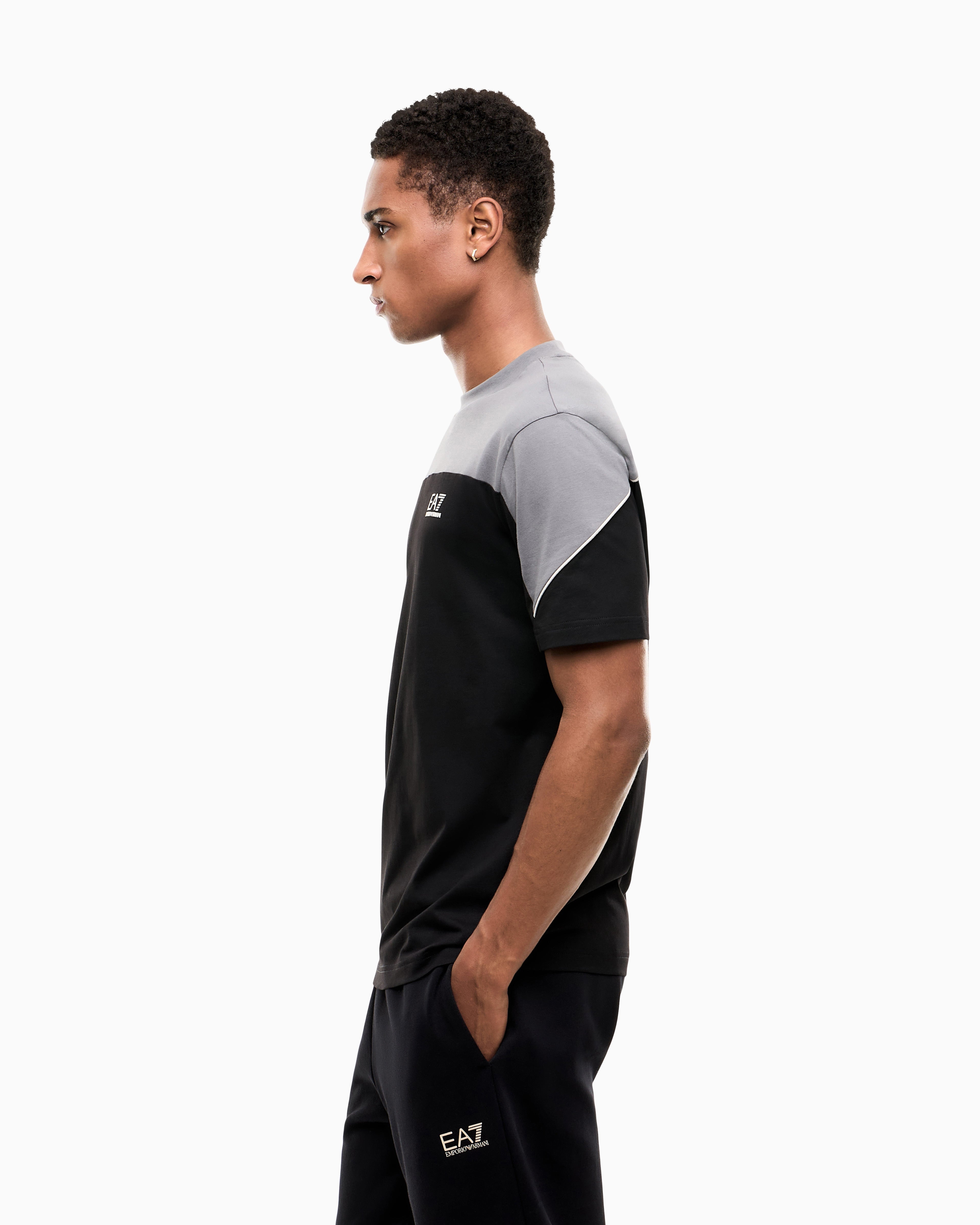 EA7 Regular fit t-shirt in cotton jersey