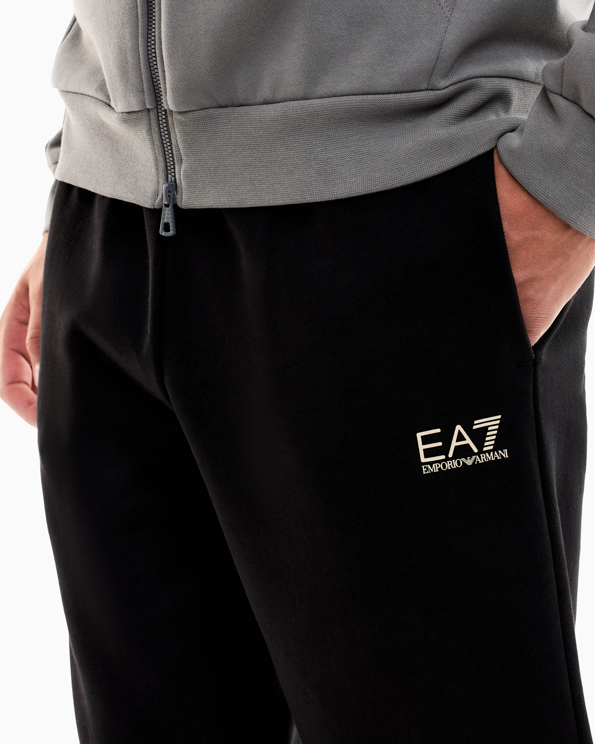 EA7 Tracksuit regular fit cotton jersey with hood and zip