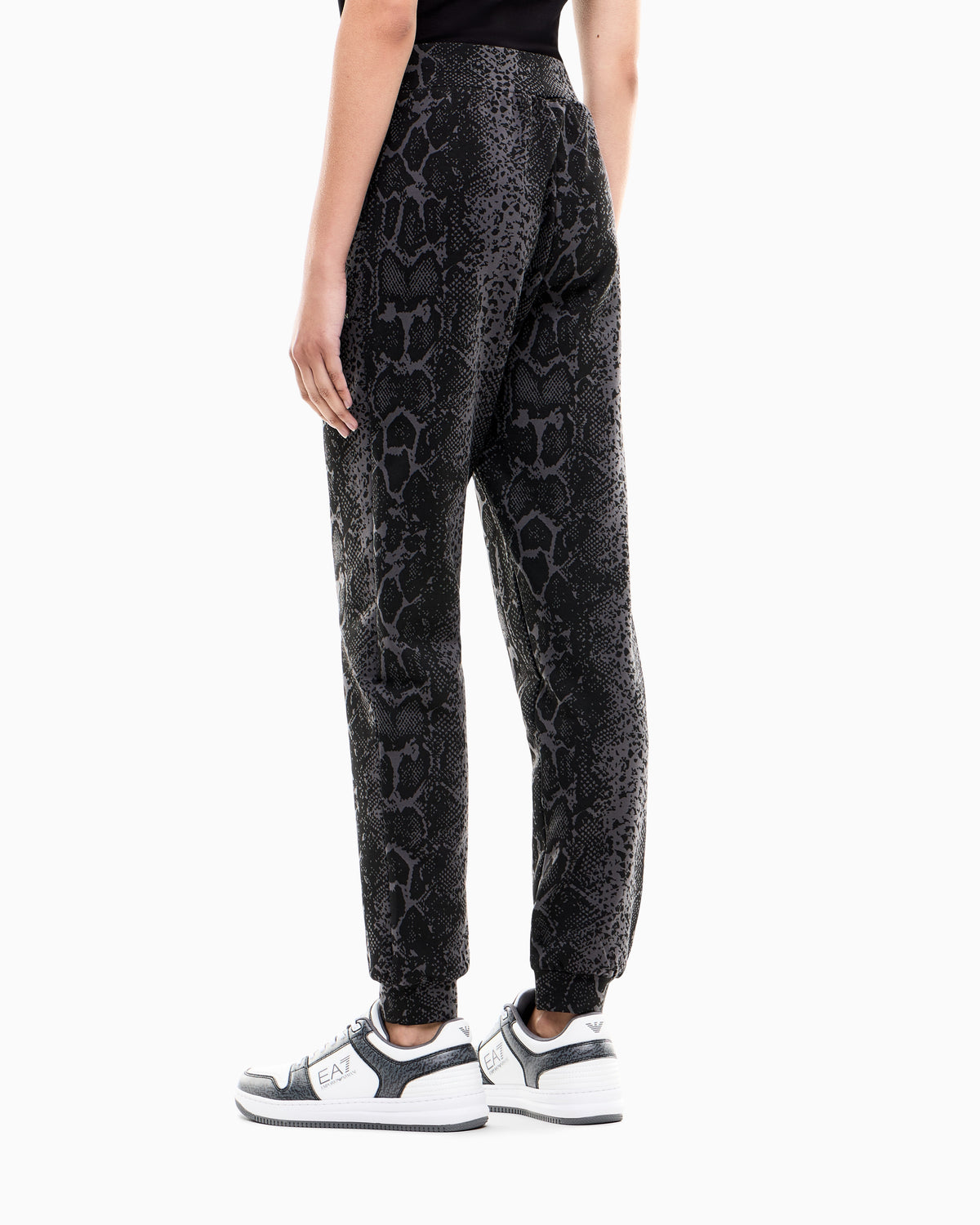 EA7 Regular fit pants Graphic Series in cotton jersey