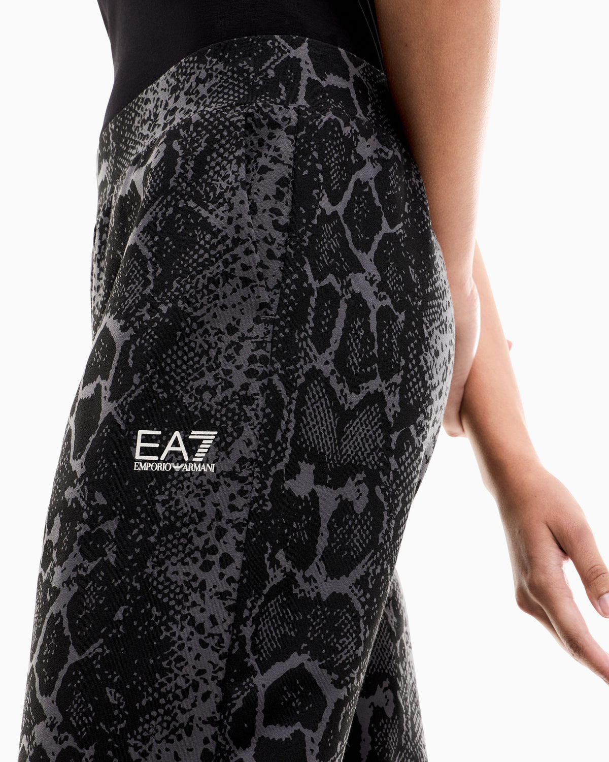 EA7 Regular fit pants Graphic Series in cotton jersey