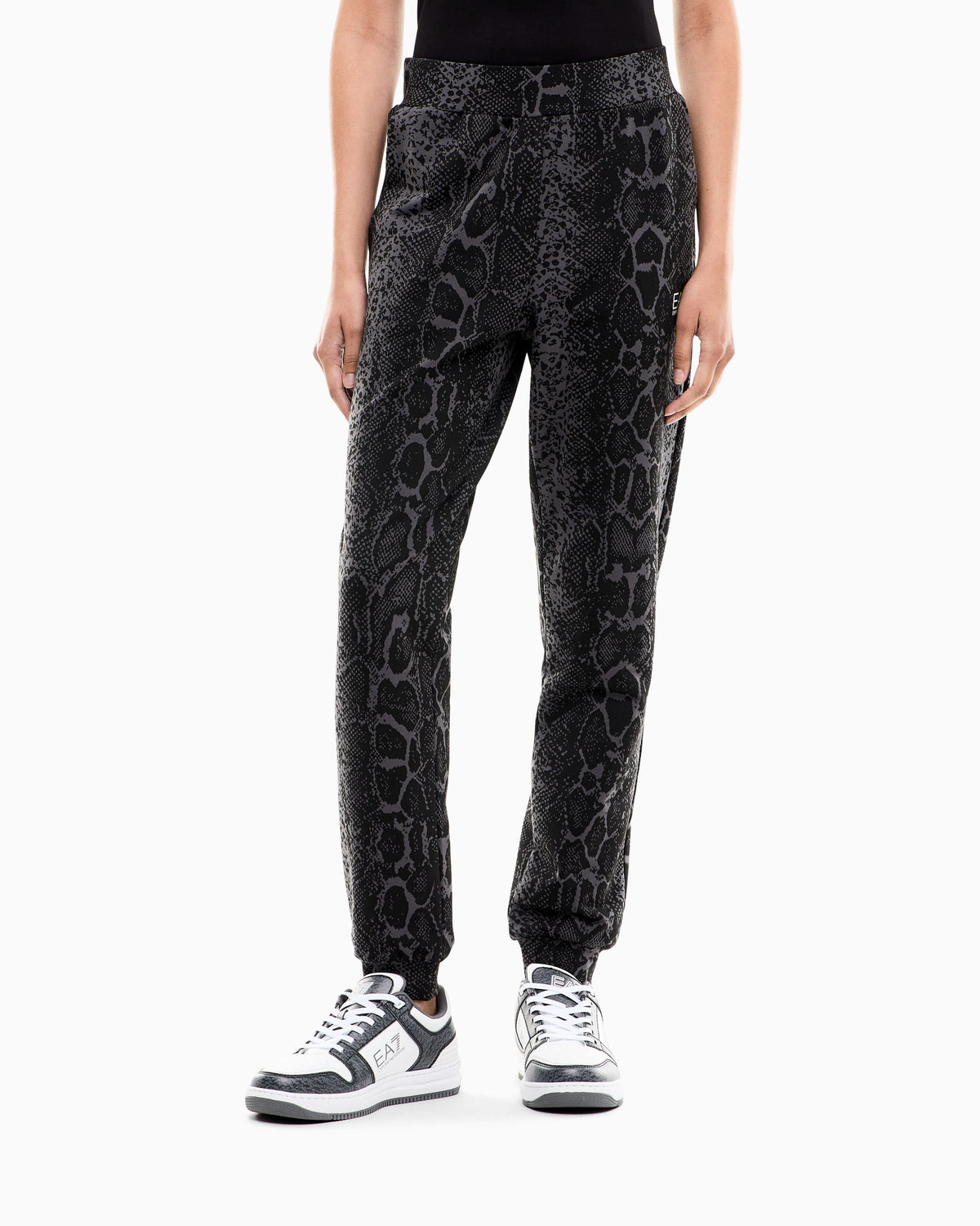 EA7 Regular fit pants Graphic Series in cotton jersey