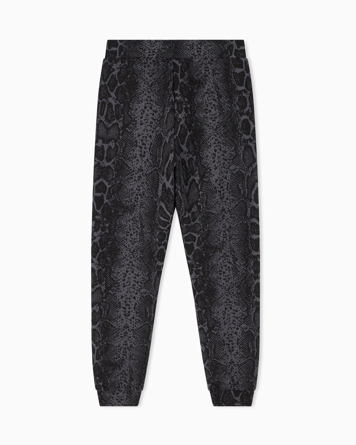 EA7 Regular fit pants Graphic Series in cotton jersey