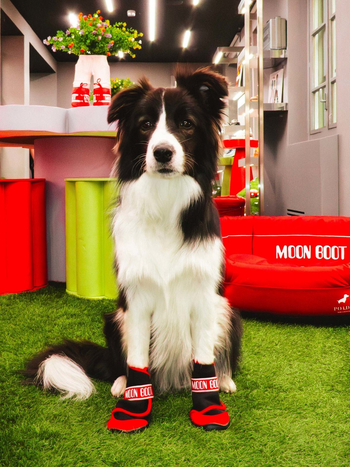 Moon Boot RED DOG Boots