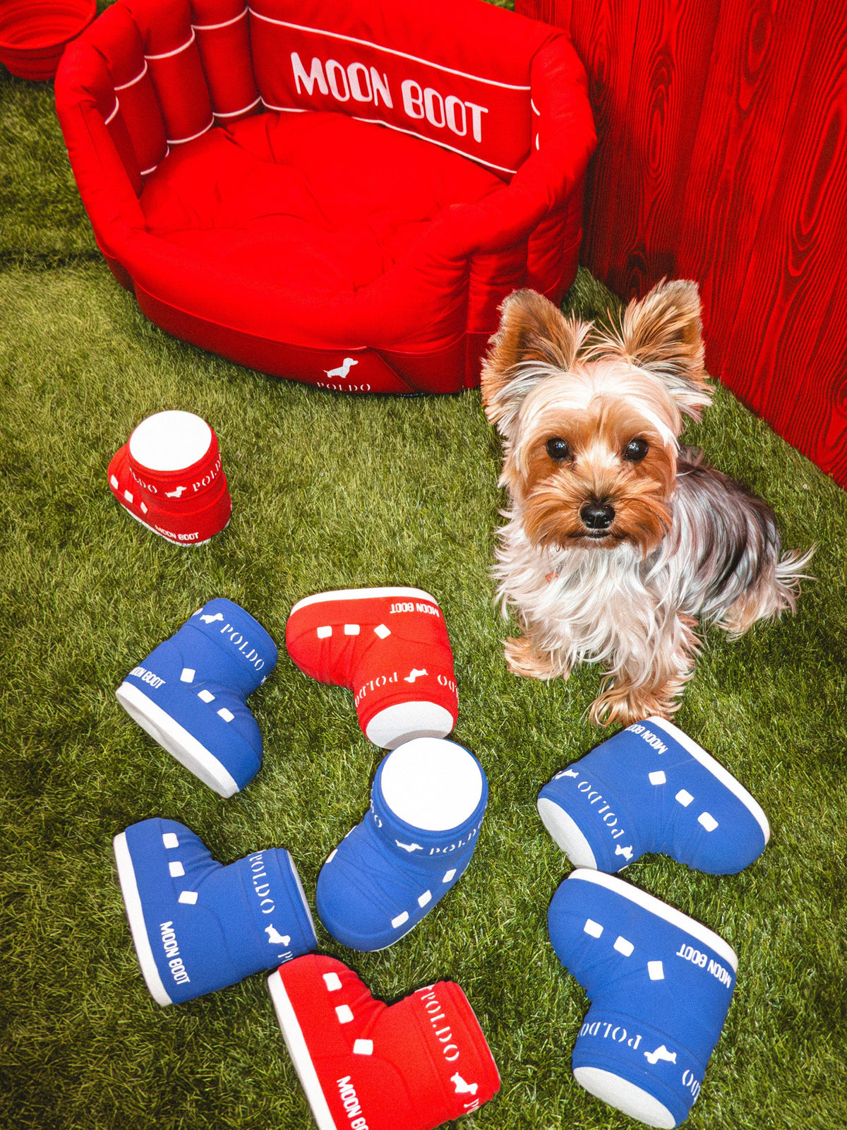 Moon Boot Squeaky DOG TOY
