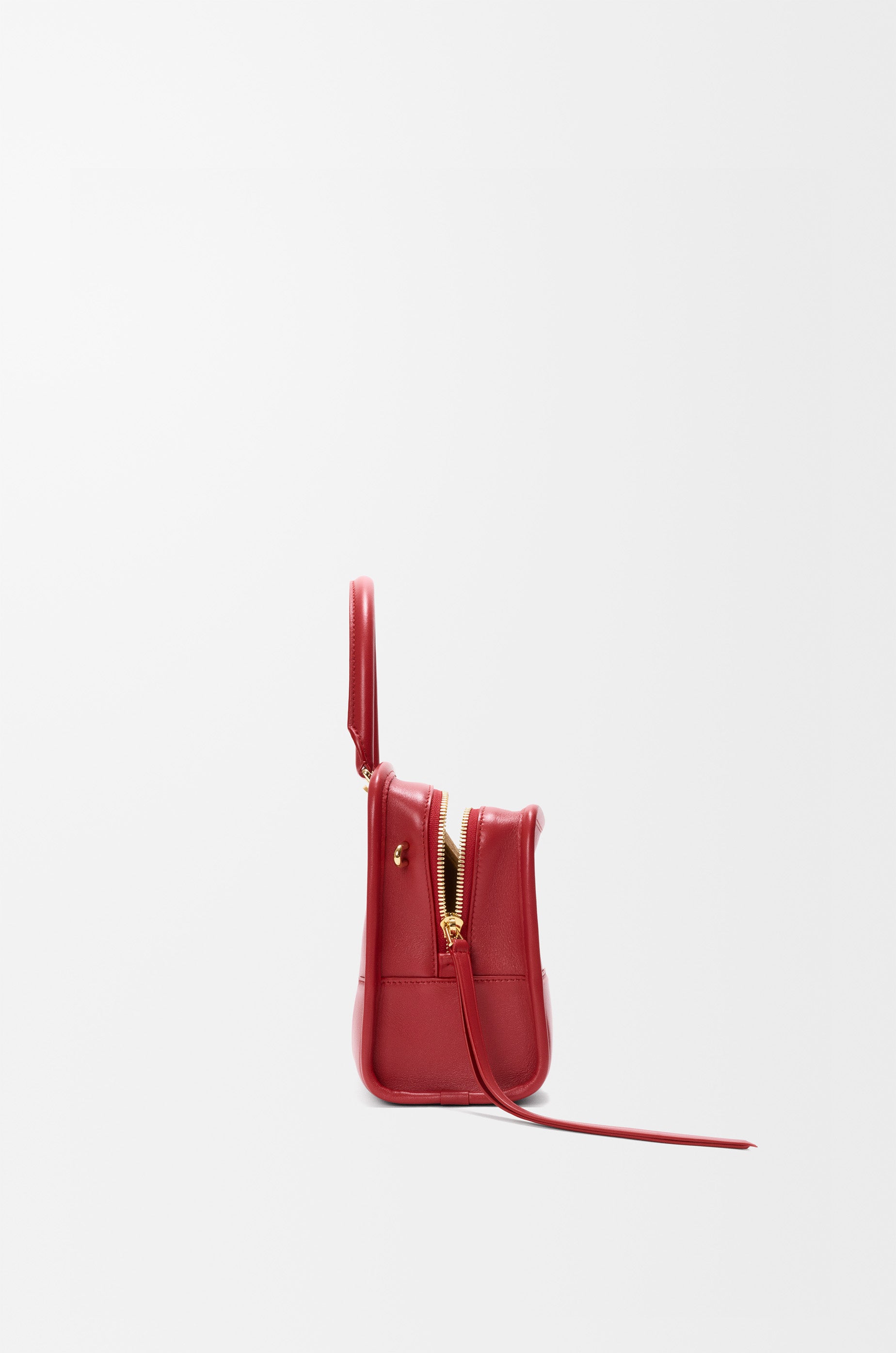 Loewe Small Amazona 180 bag in soft calfskin