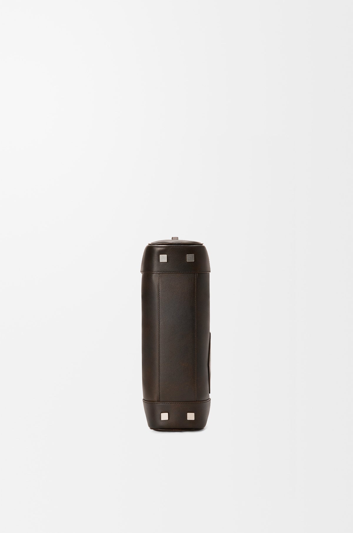 Loewe Panta Amazona 31 cropped bag in shiny calfskin