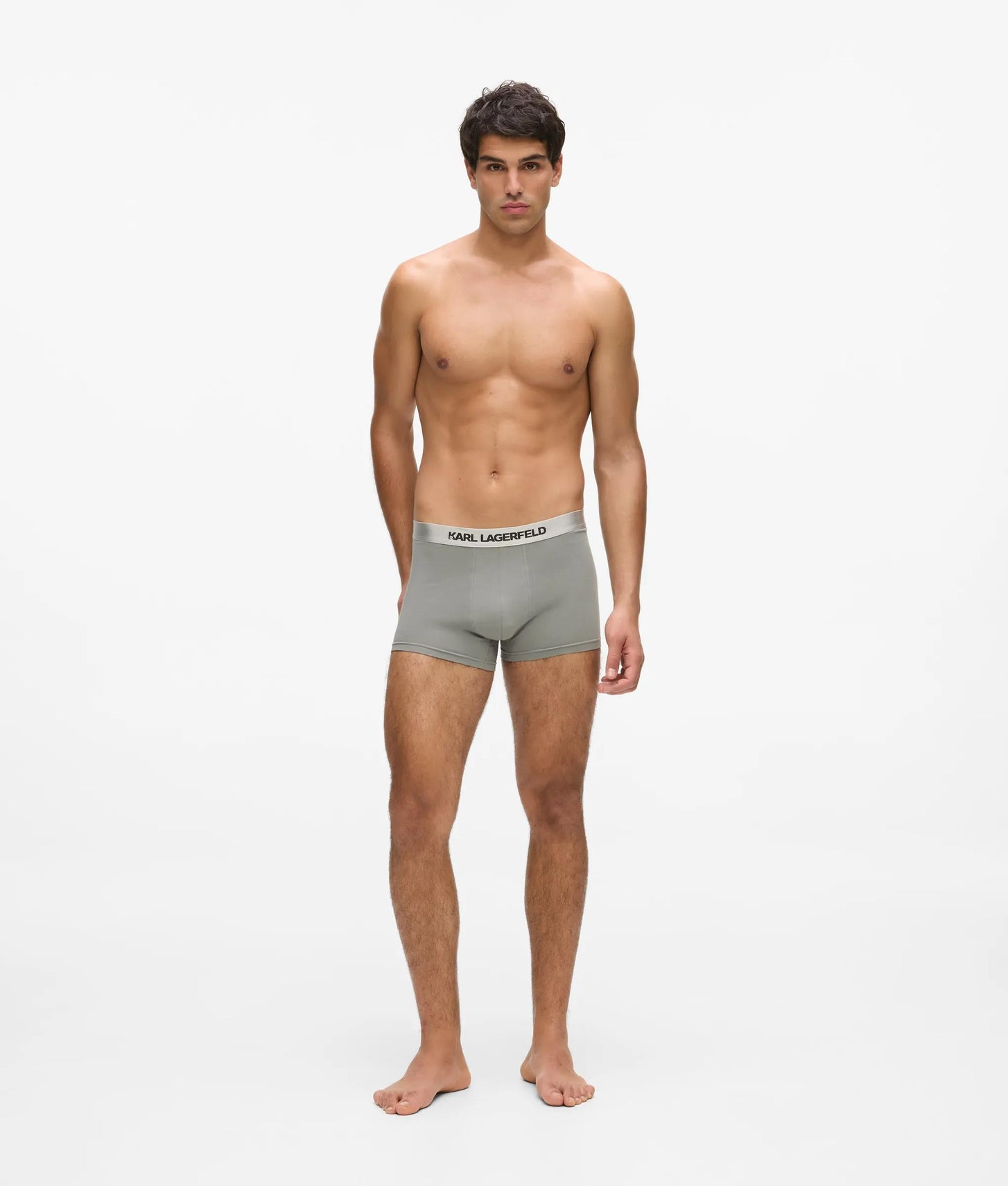 Karl Lagerfeld Metallic Logo Trunks – 3-Pack Forest-Black-Sedona