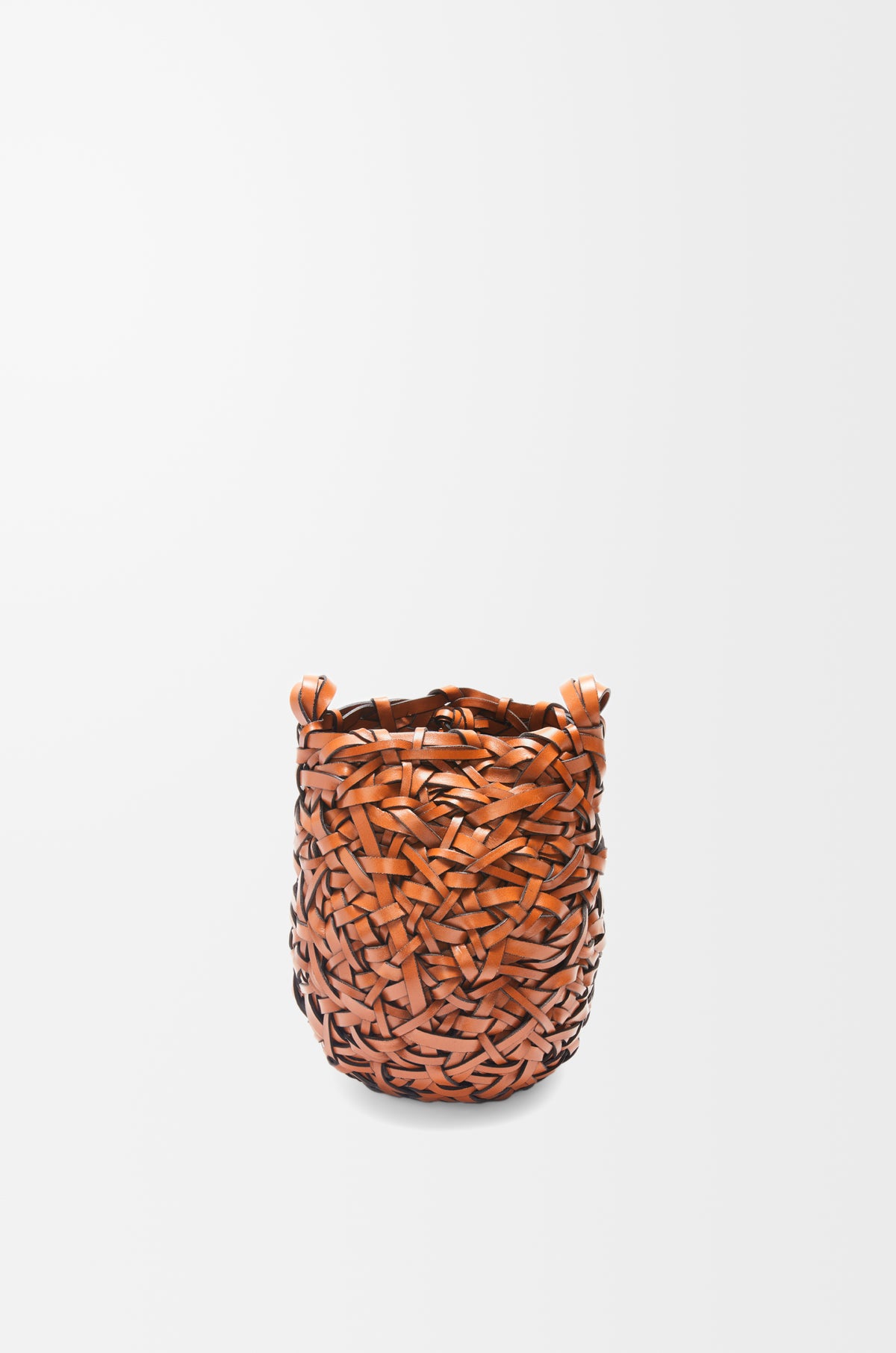 Loewe Small Nest Basket bag in calfskin