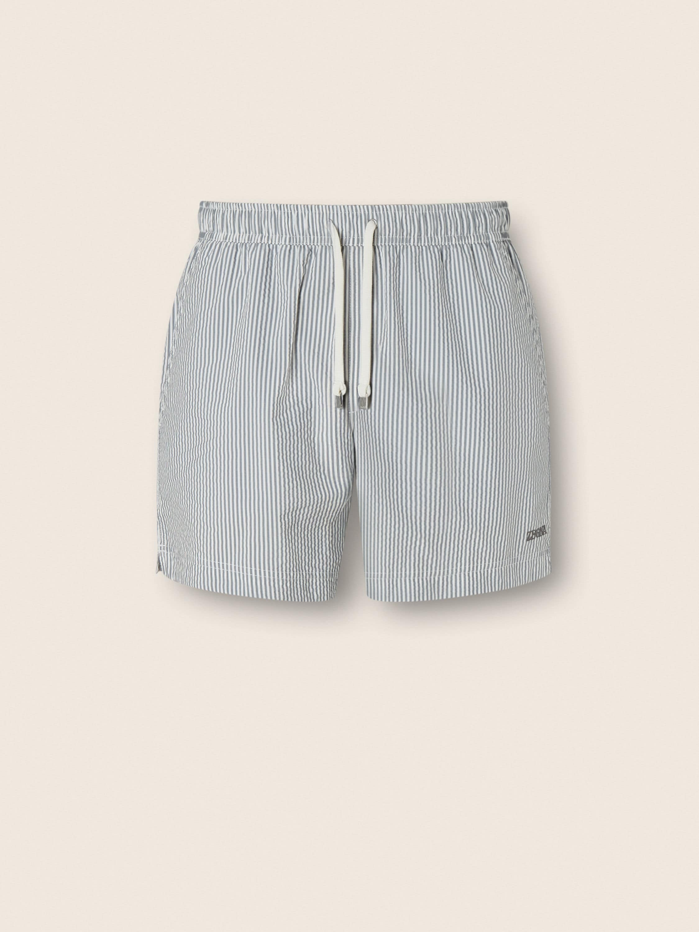 Zegna Striped Swim Trunks