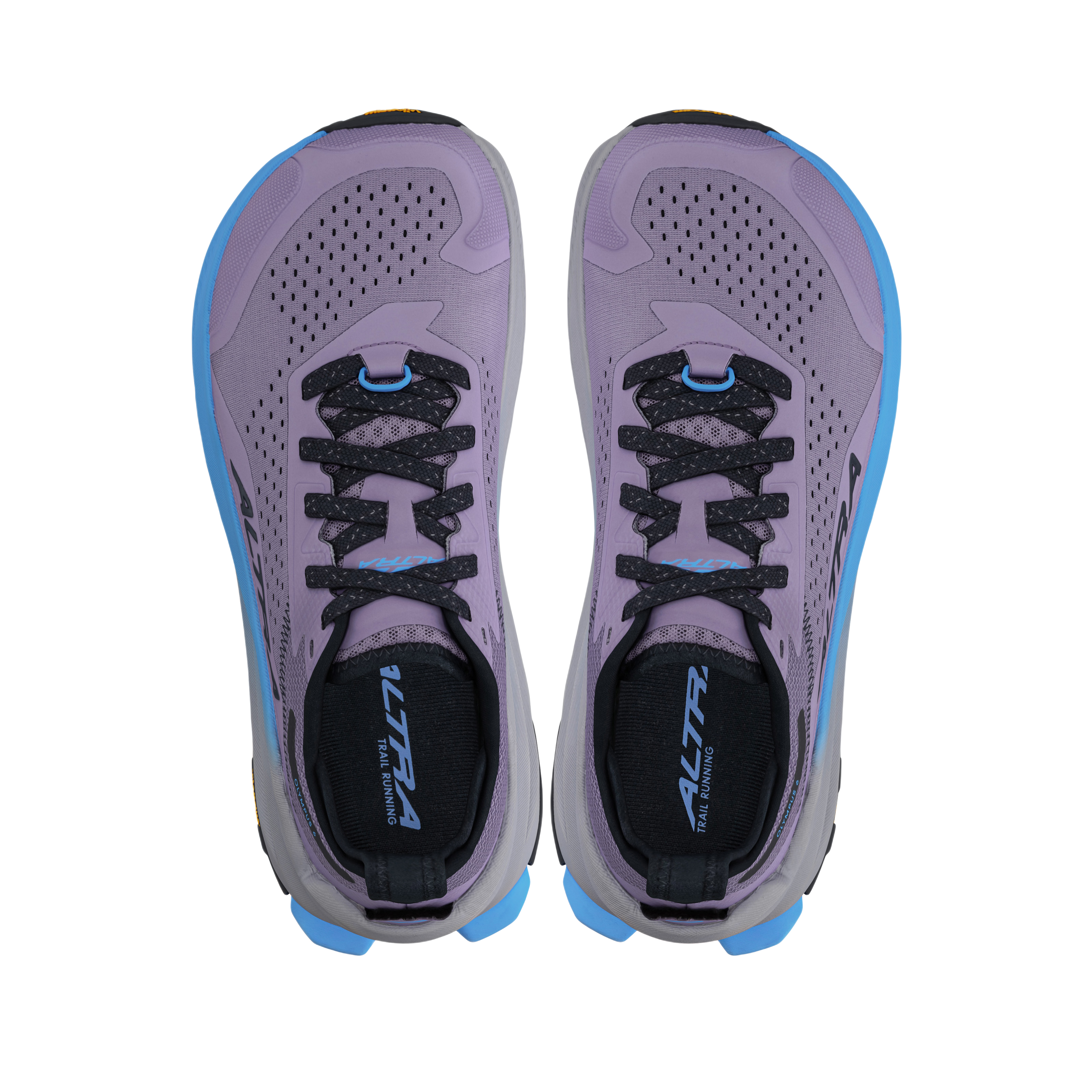 Altra Women's Olympus 6 Purple