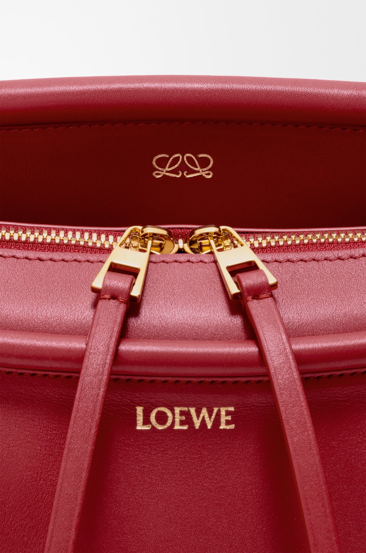 Loewe Small Whisker bag in glazed calfskin