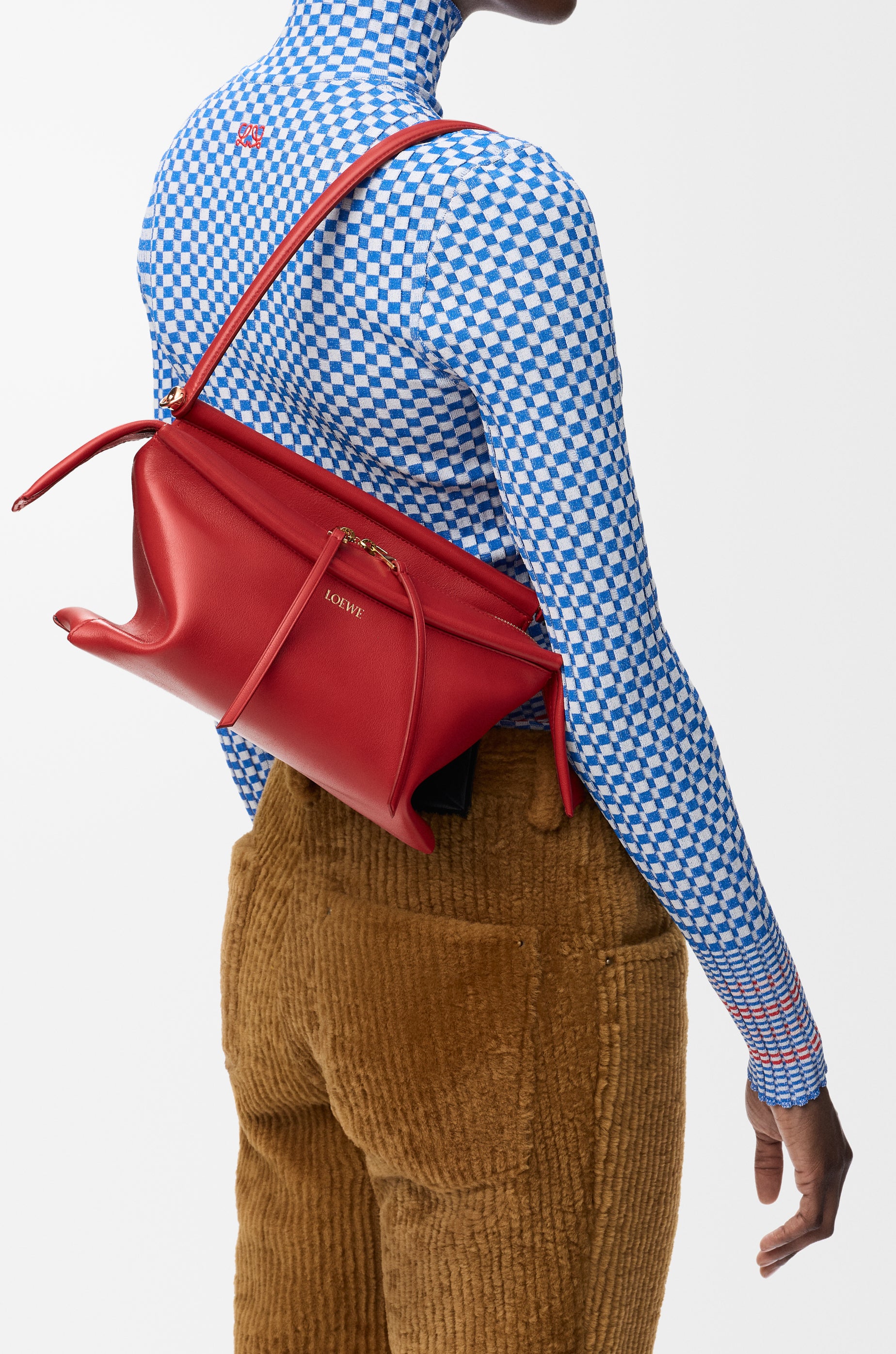 Loewe Small Whisker bag in glazed calfskin